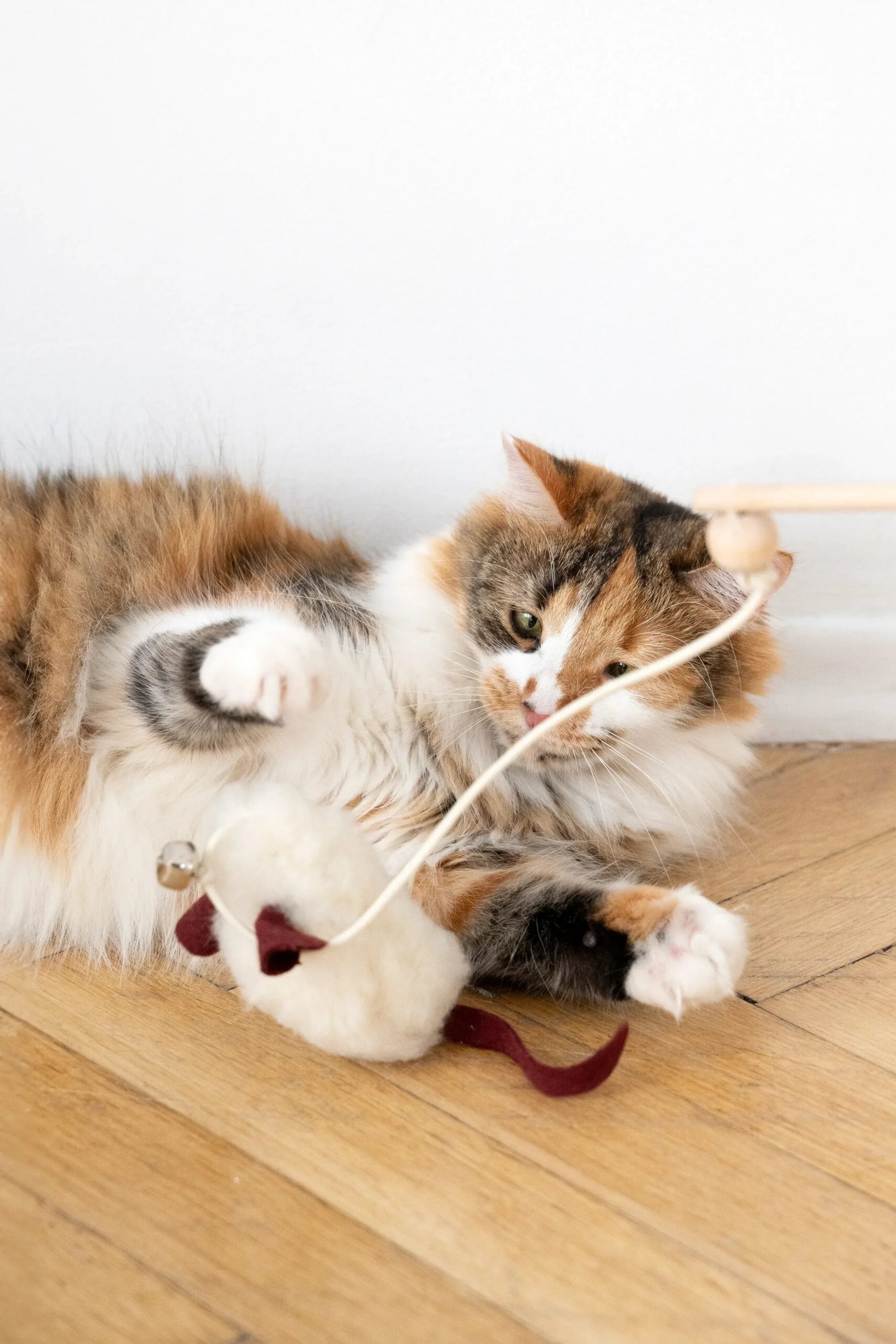 Mellow Pet Store Jouet pour chat en peau de mouton naturelle : Souris — photo 6