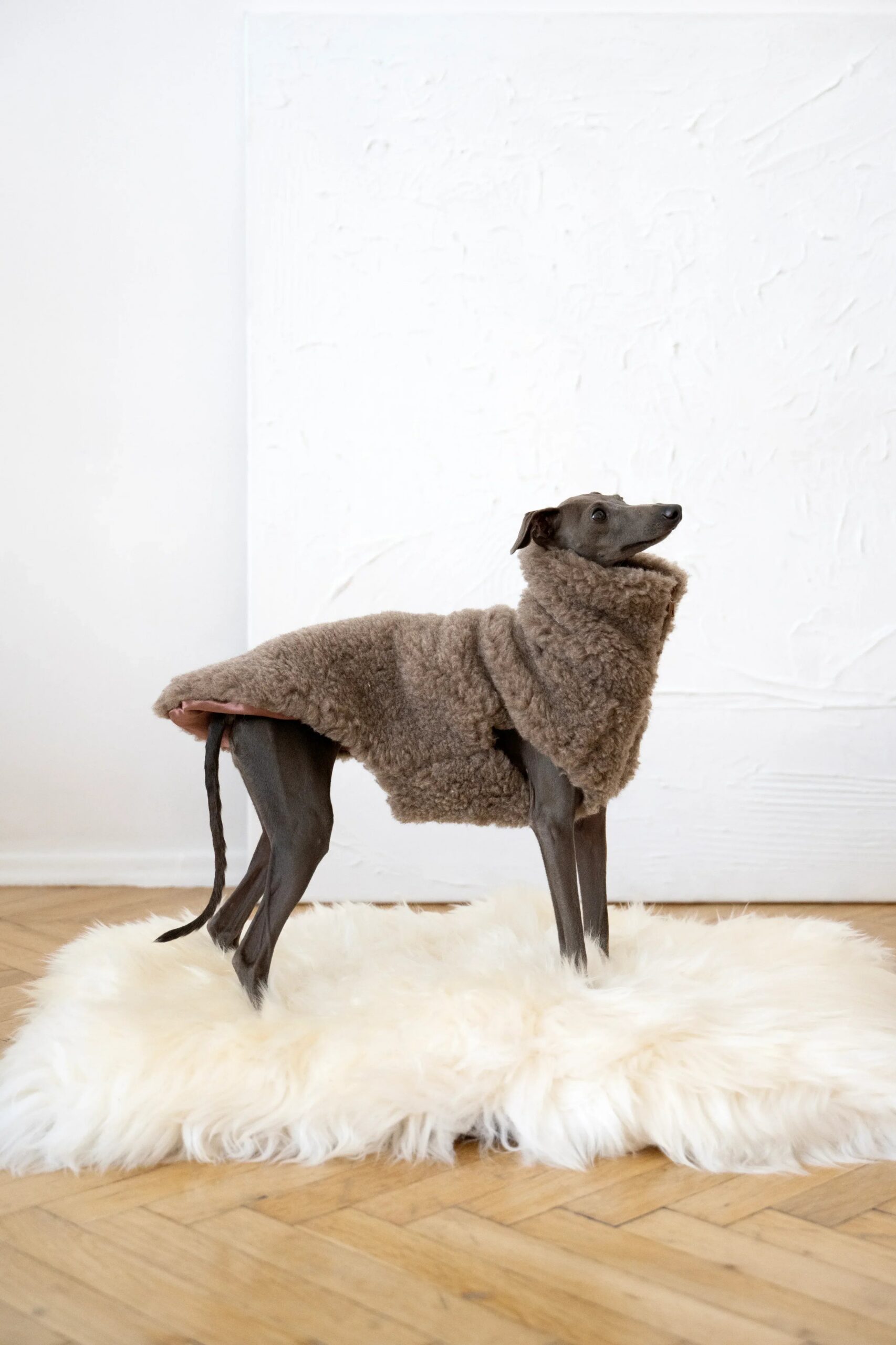 Mellow Concept Store Gilet en laine pour chien - Beige — Vêtements pour chiens — photo 3