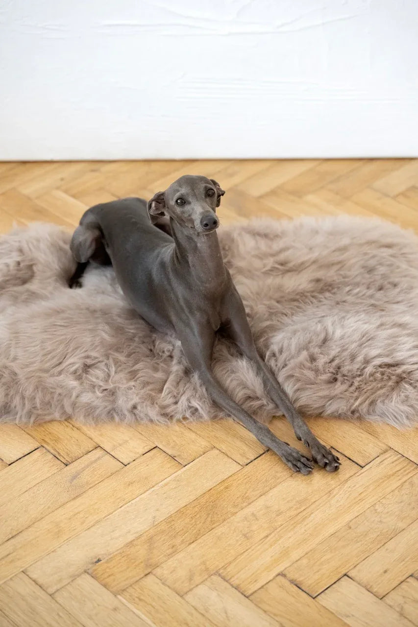 Mellow Pet Store Couchage carré ou rectangulaire en peau de mouton naturelle - Greige — Paniers et caisses — photo 2