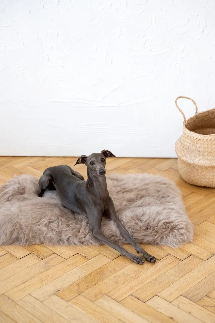 Mellow Pet Store Couchage carré ou rectangulaire en peau de mouton naturelle - Greige — Paniers et caisses — photo 5