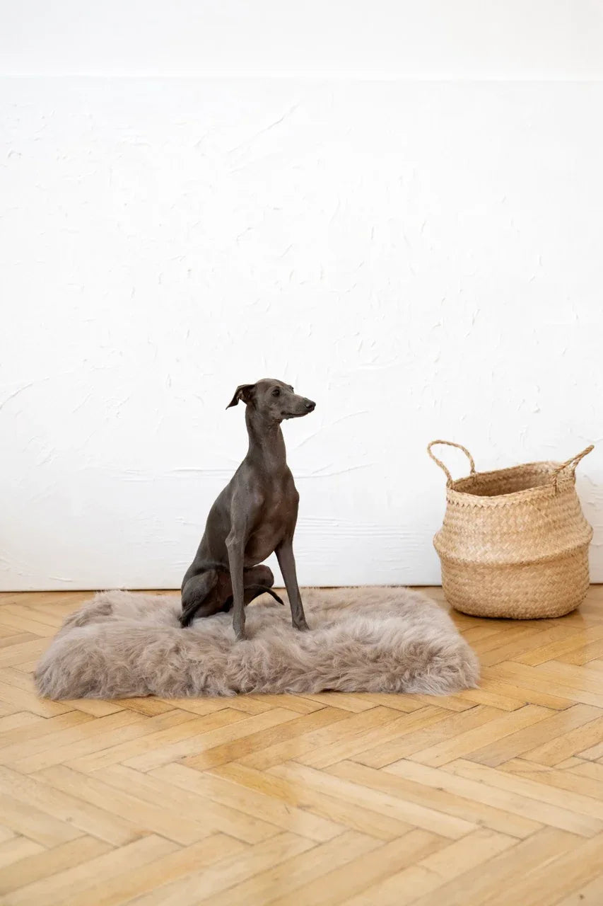 Mellow Pet Store Couchage carré ou rectangulaire en peau de mouton naturelle - Greige — Paniers et caisses — photo 4