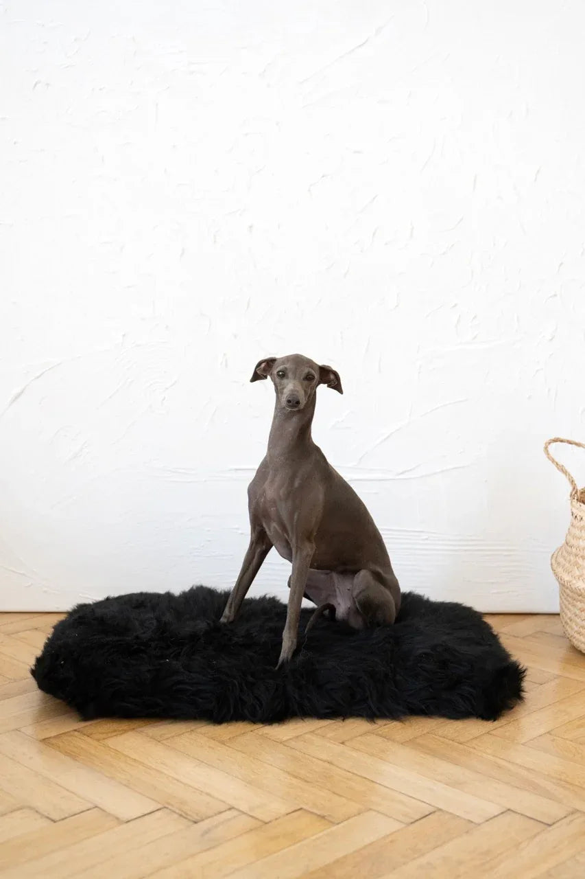 Mellow Pet Store Tapis pour animaux en peau de mouton naturelle carré ou rectangulaire - Noir — Paniers et caisses — photo 4