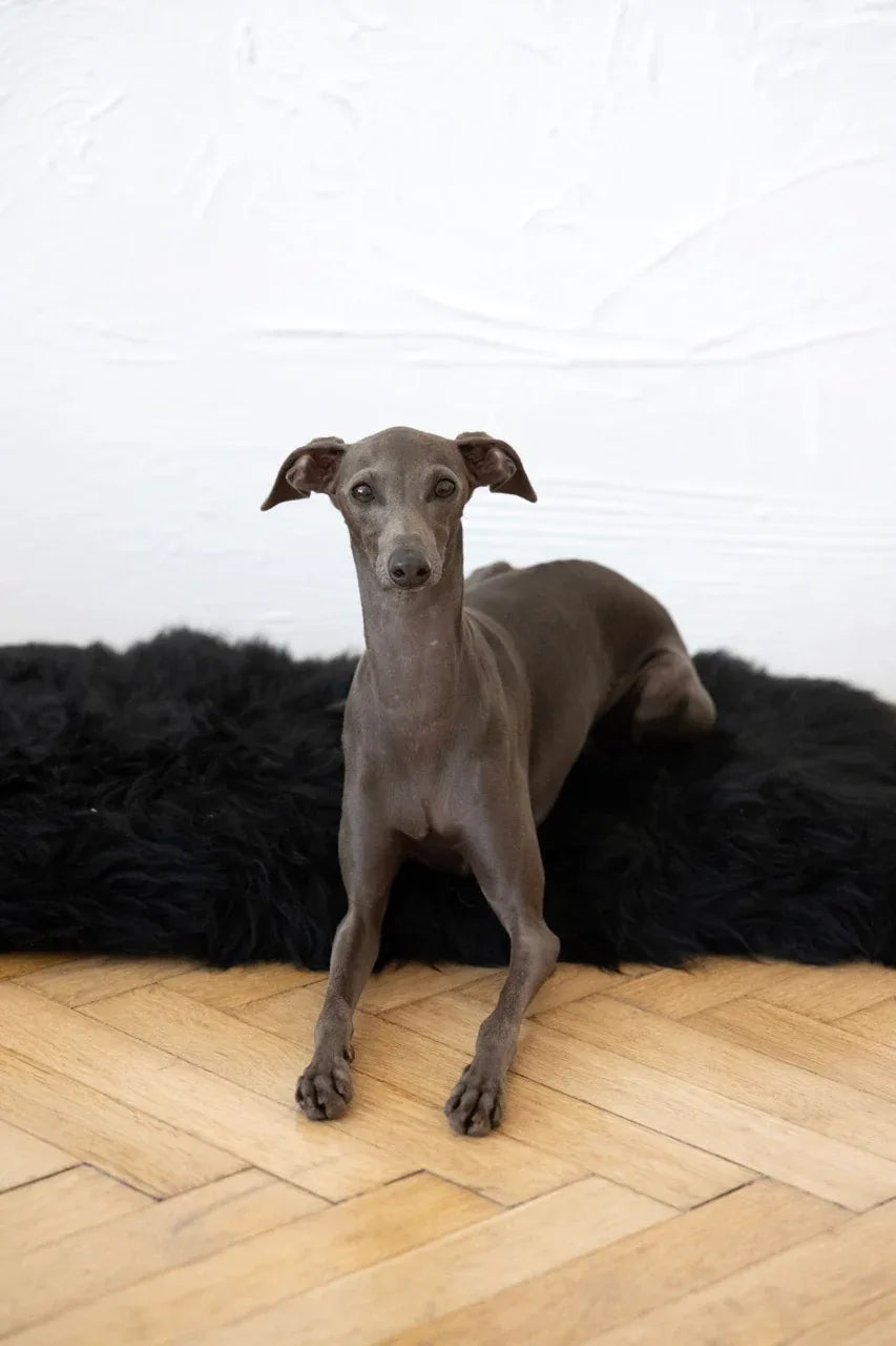 Mellow Pet Store Tapis pour animaux en peau de mouton naturelle carré ou rectangulaire - Noir — Paniers et caisses — photo 2