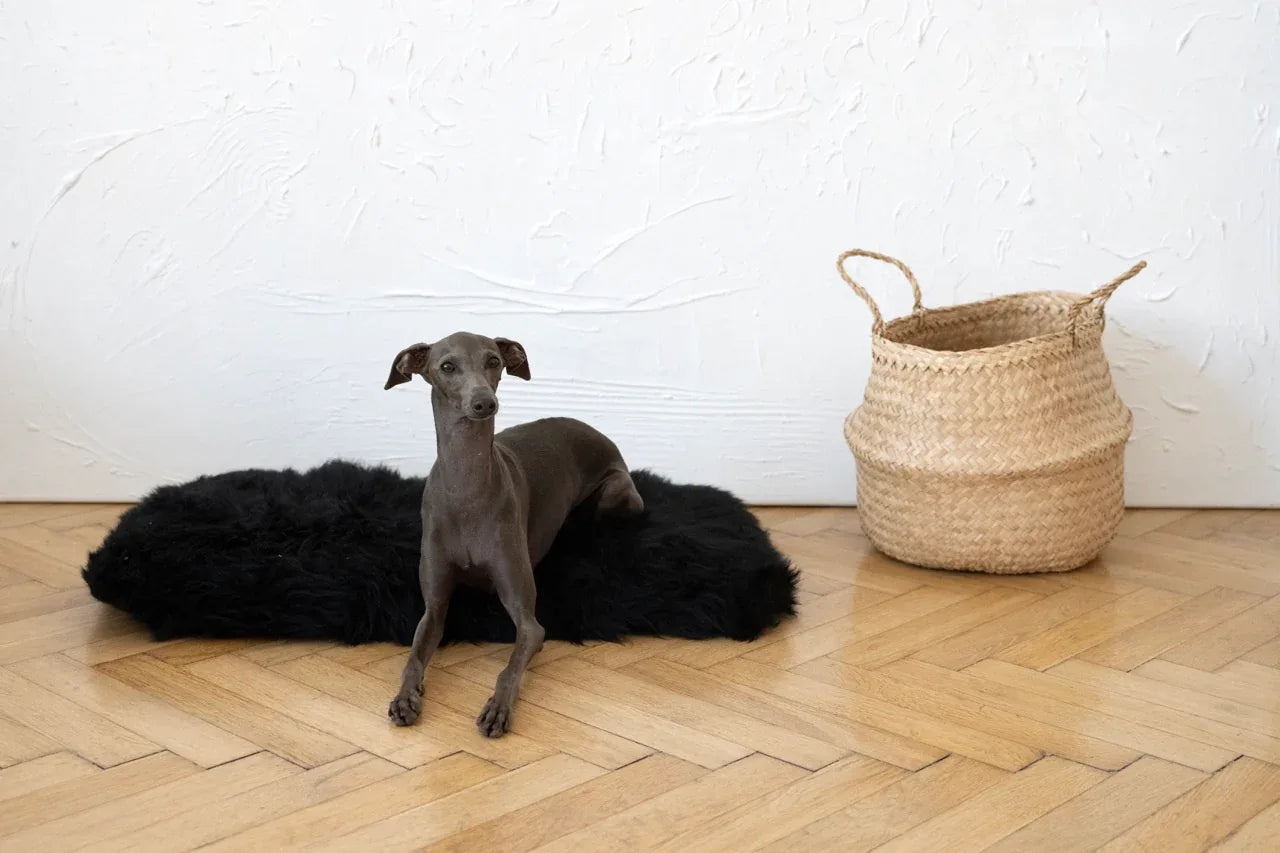 Mellow Pet Store Tapis pour animaux en peau de mouton naturelle carré ou rectangulaire - Noir — Paniers et caisses — photo 3