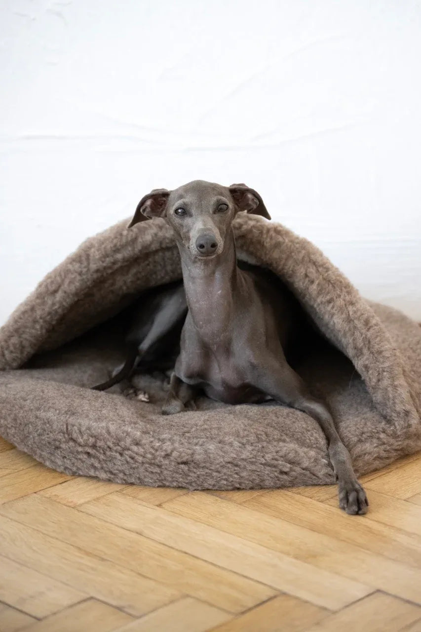 Mellow Pet Store Terrier en laine naturelle pour animal - Beige — Arbres à chat et griffoirs — photo 2