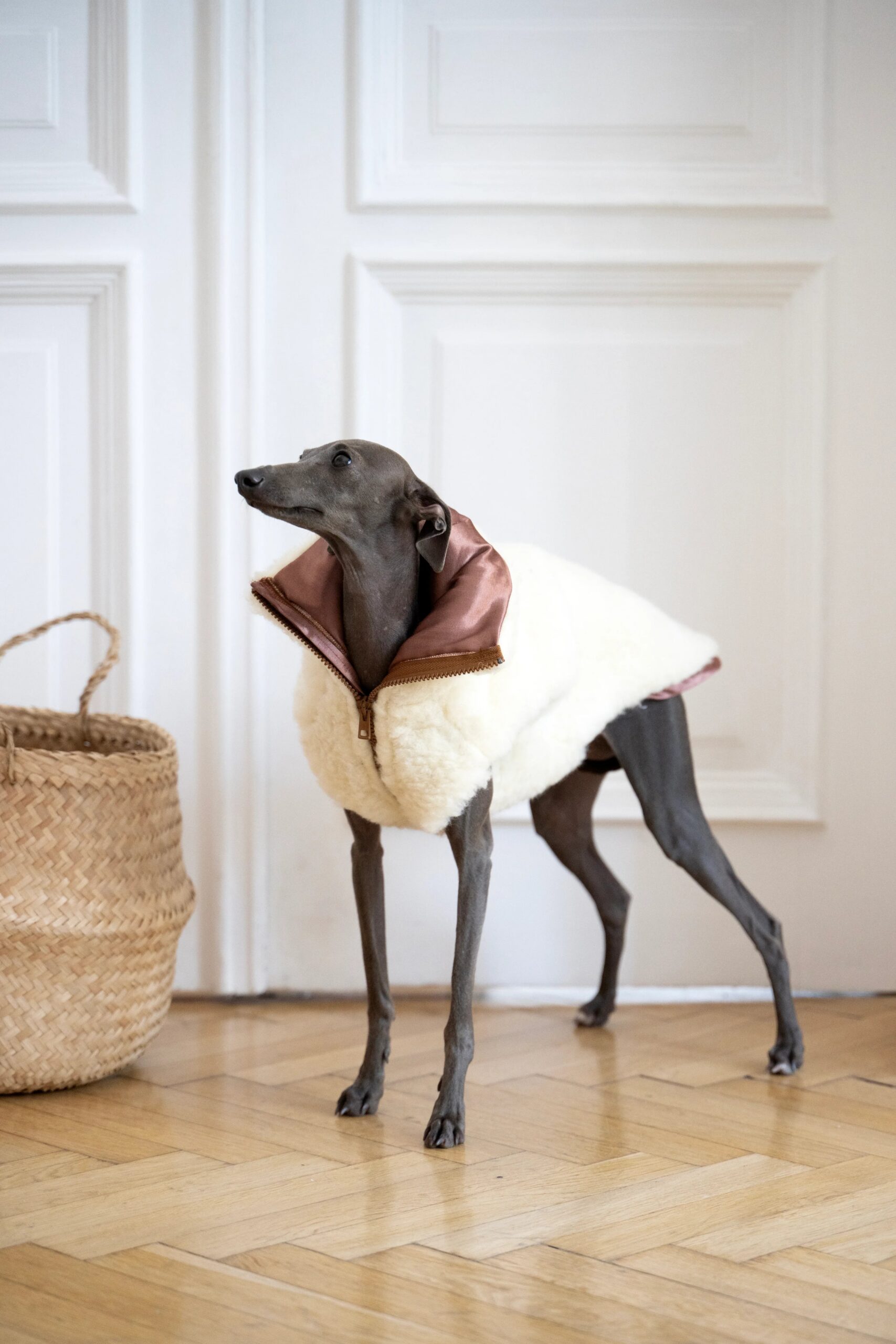 Mellow Pet Store Gilet en laine pour chien - Blanc — Vêtements pour chiens — photo 2