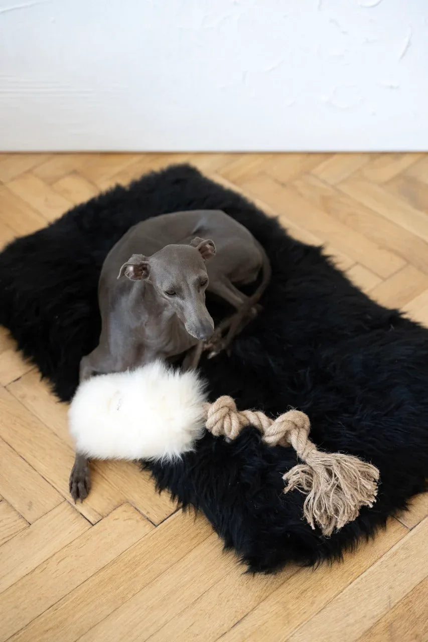 Mellow Pet Store Jouet à tirer en peau de mouton naturelle pour chien - Blanc — photo 6