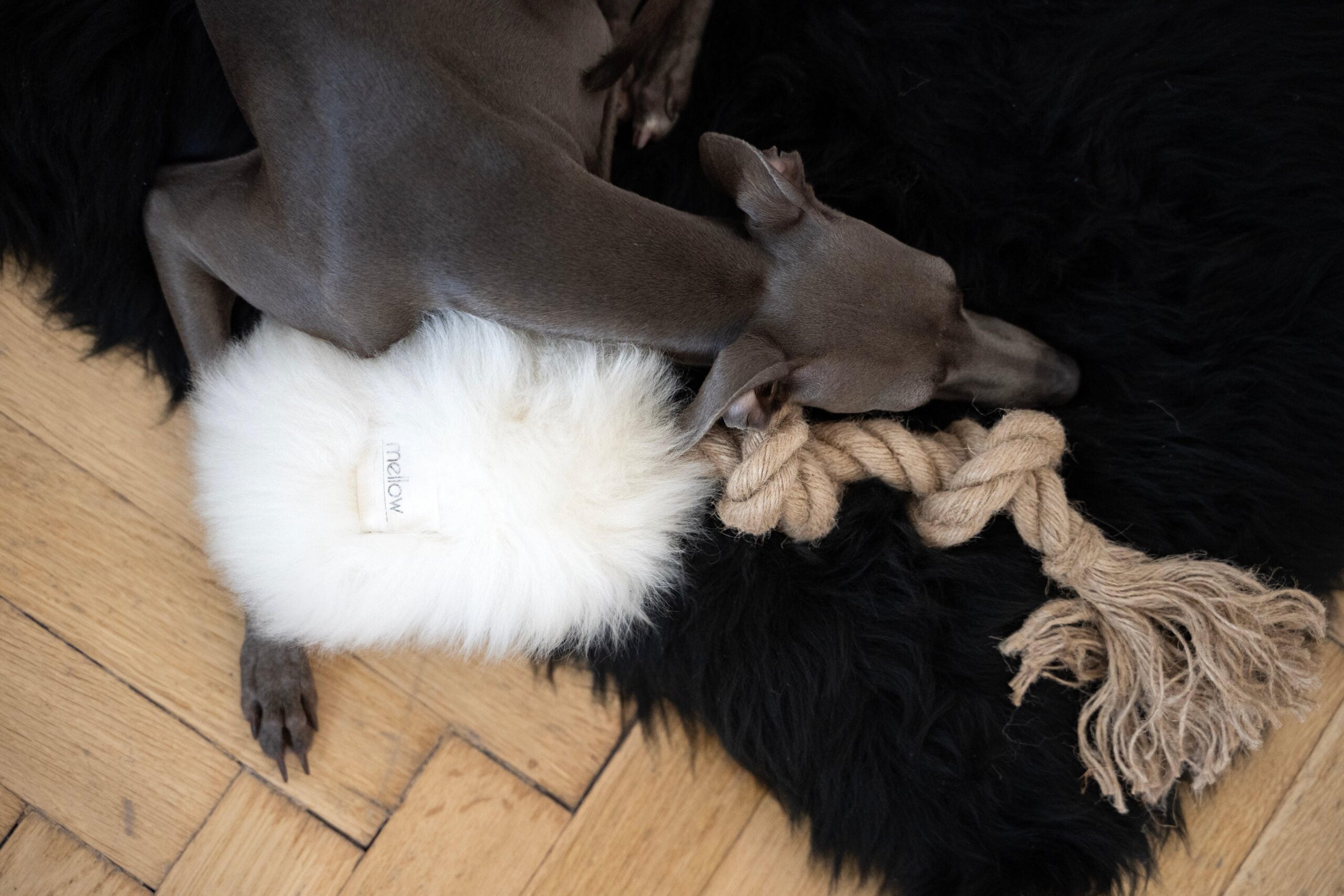 Mellow Pet Store Jouet à tirer en peau de mouton naturelle pour chien - Blanc — photo 4