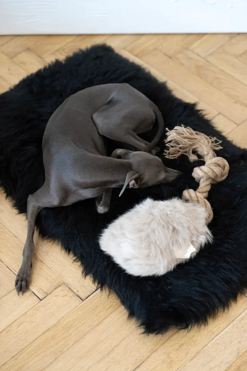 Mellow Pet Store Jouet à tirer pour chien en peau de mouton naturelle - Beige — photo 2