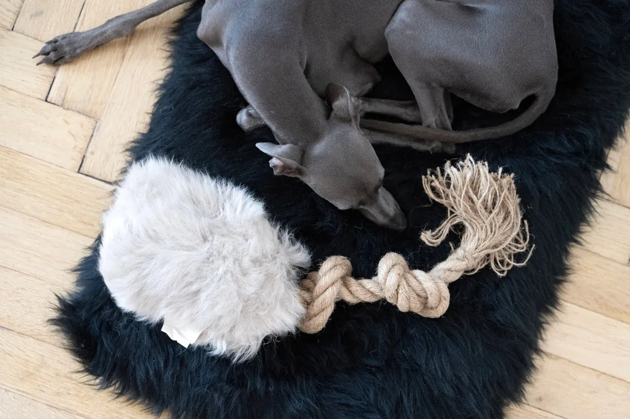 Mellow Pet Store Jouet à tirer pour chien en peau de mouton naturelle - Beige — photo 3