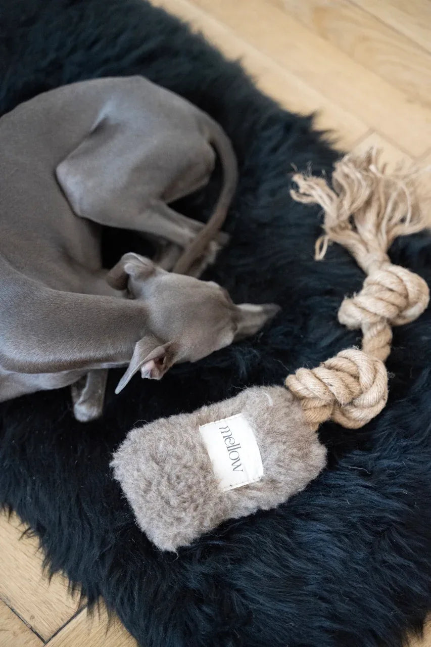 Mellow Pet Store Naturalna wełniana zabawka do szarpania dla psa - Beżowa — photo 2