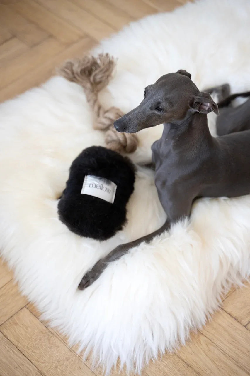 Mellow Pet Store Jouet à tirer pour chien en peau de mouton naturelle - Noir — photo 4