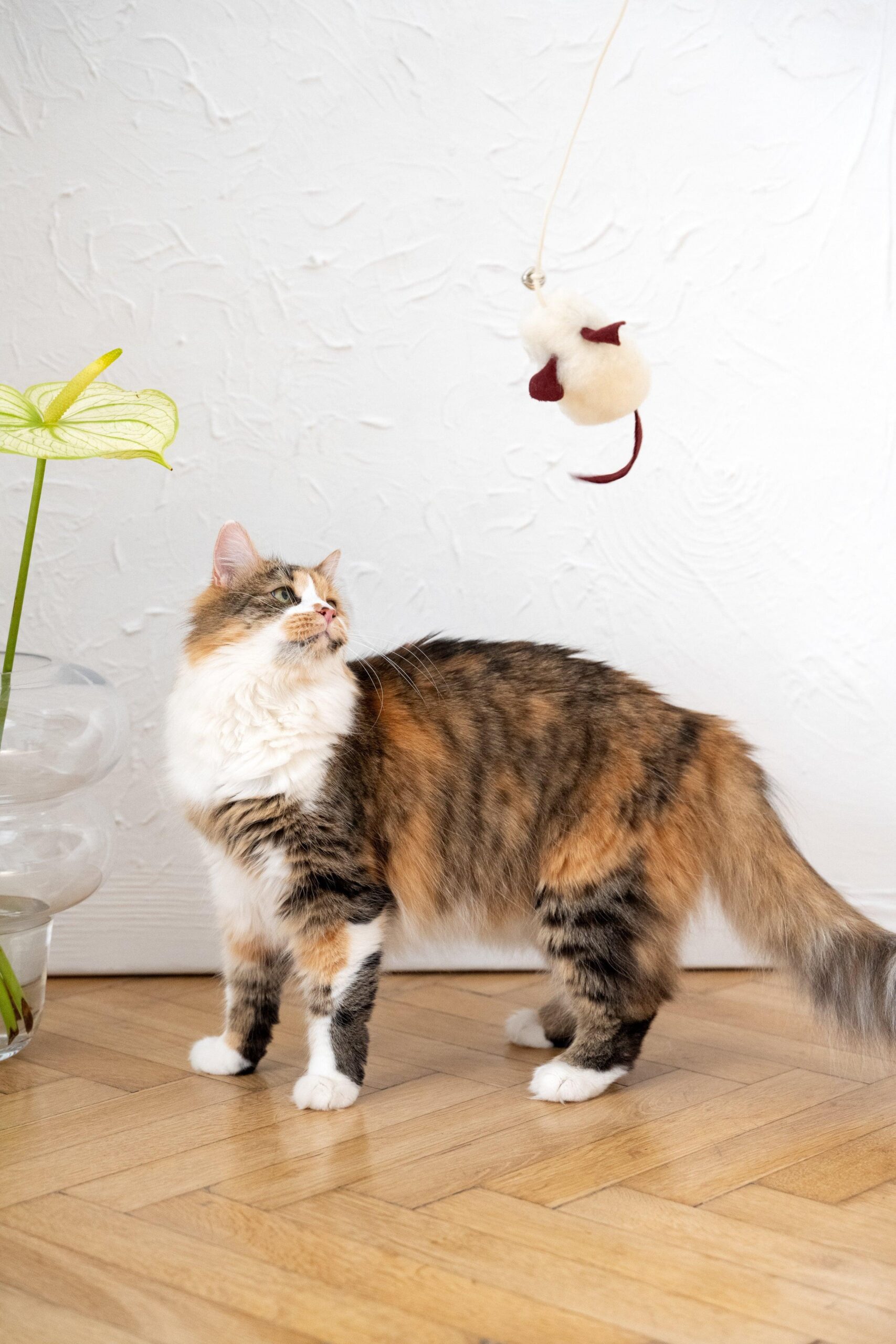 Mellow Pet Store Jouet pour chat en peau de mouton naturelle : Souris — photo 5