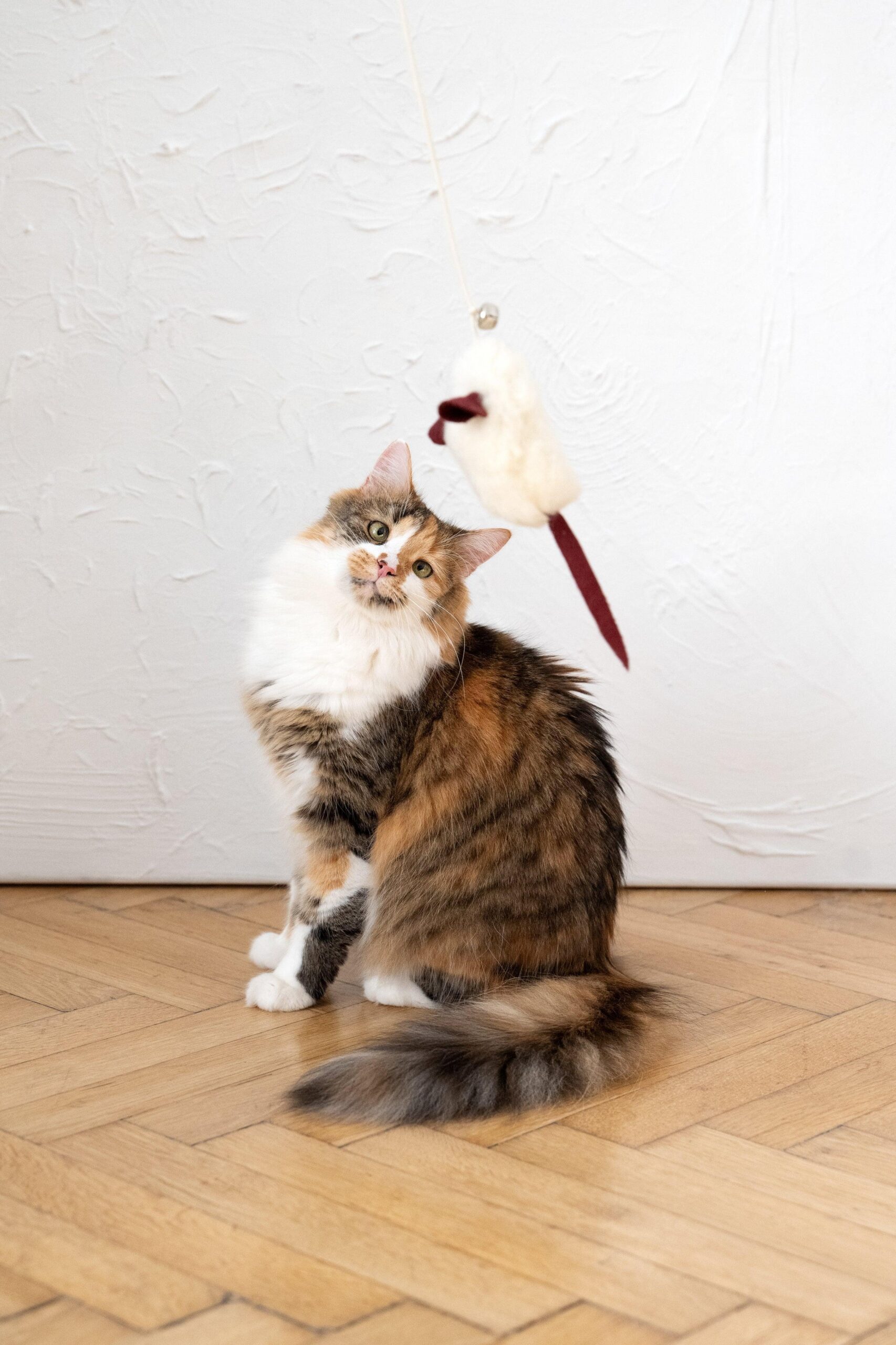 Mellow Pet Store Jouet pour chat en peau de mouton naturelle : Souris — photo 4