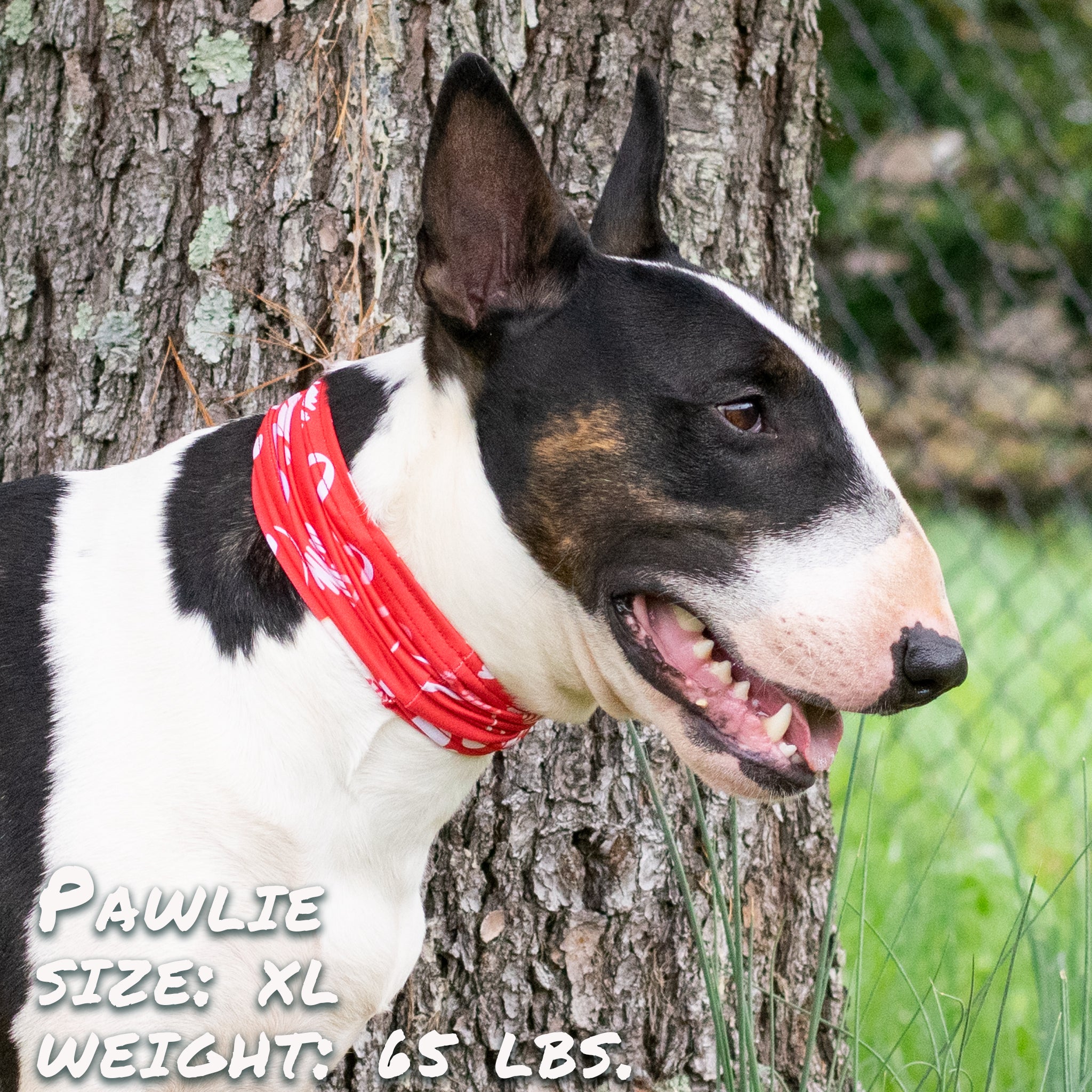 Pup Scruffs Puppy Love tour de cou pour chien — Vêtements pour chiens — photo 4