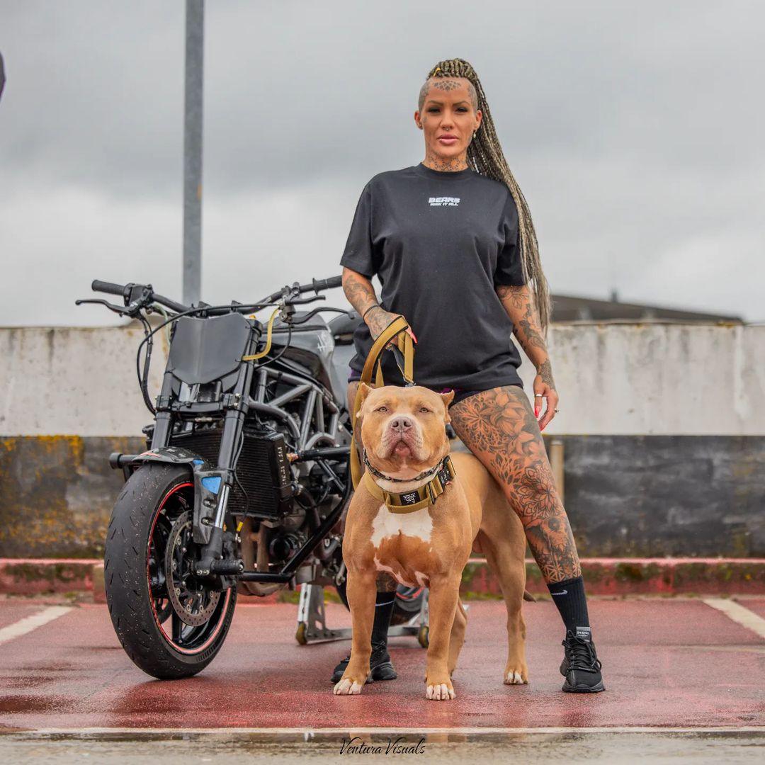Laisse GripPro BESTIA DOG SPORT — Colliers, laisses et harnais — photo 6