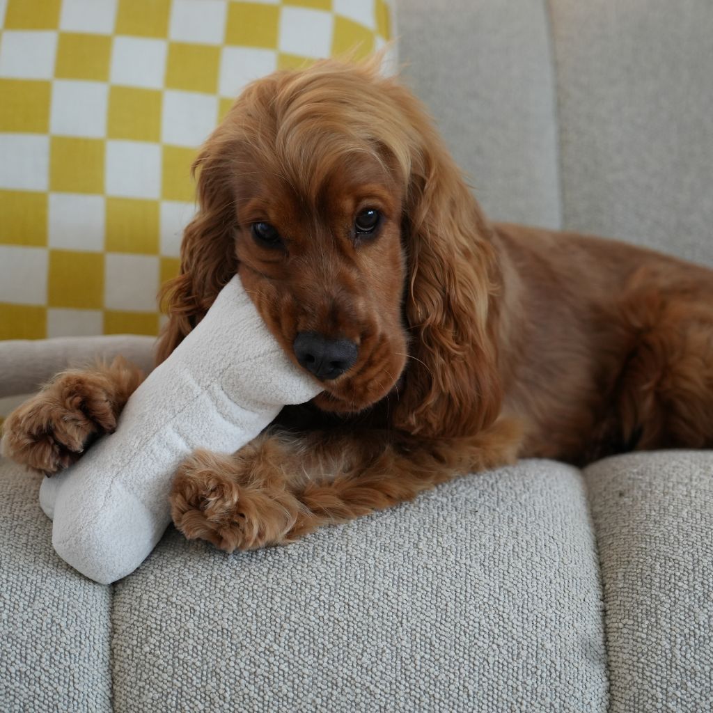 Lilly+Dash zabawki w kształcie kości — photo 3