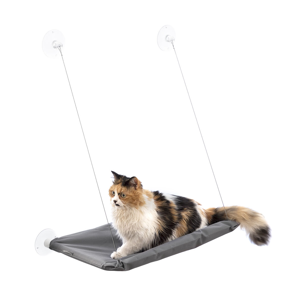 Wiszący Hamak dla Kota Catlax InnovaGoods — Drapaki i drzewka — photo 5