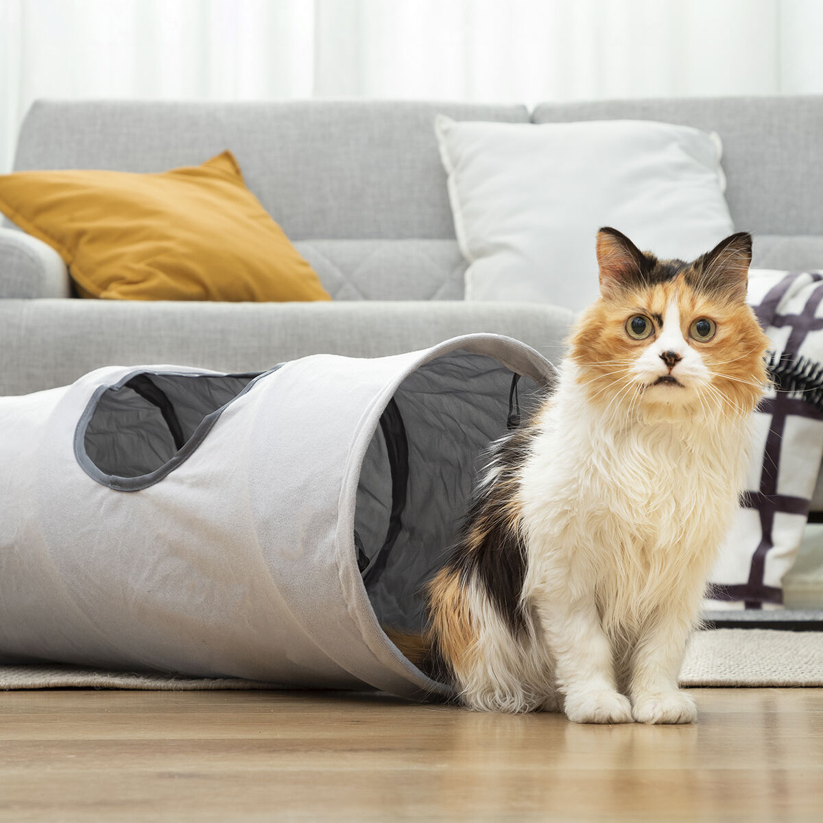 Tunnel pliable pour animaux Funnyl InnovaGoods — Jouets — photo 10