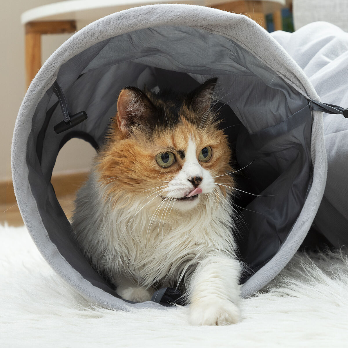 Tunnel pliable pour animaux Funnyl InnovaGoods — Jouets — photo 9