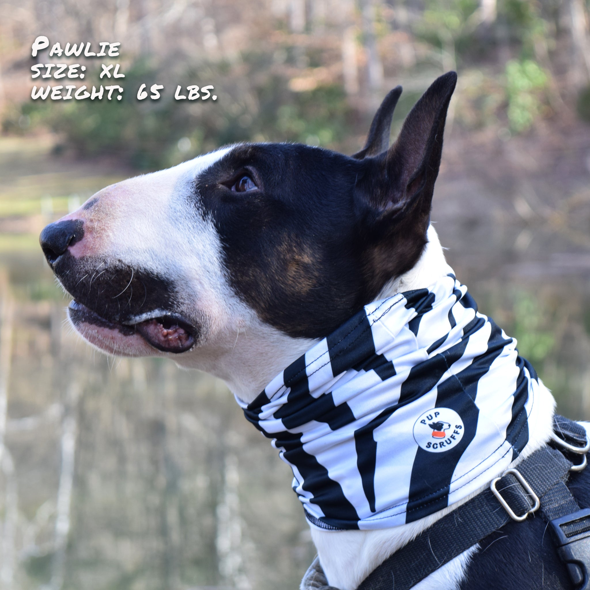 Pup Scruffs Zebra Komin dla psa — Ubranka dla psów — photo 2