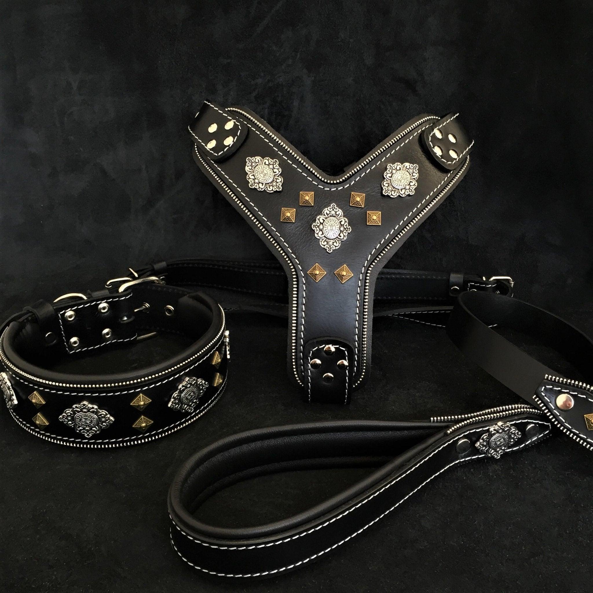 Bestia "AZTEC" GRAND ensemble pour chien - Harnais - collier - laisse. Noir — photo 2