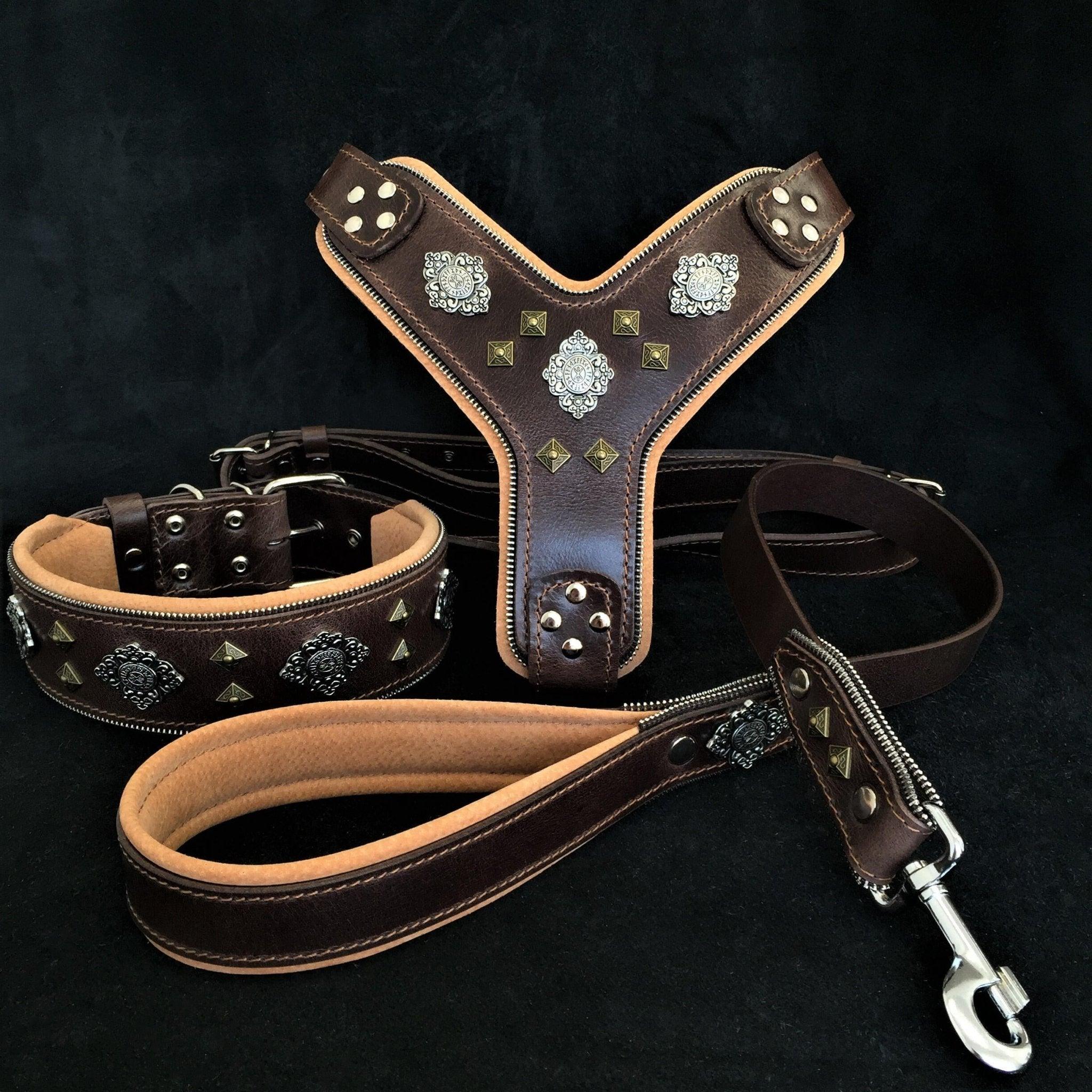 Bestia "AZTEC" BIG dog SET - Szelki - obroża - smycz. Brązowy — photo 2