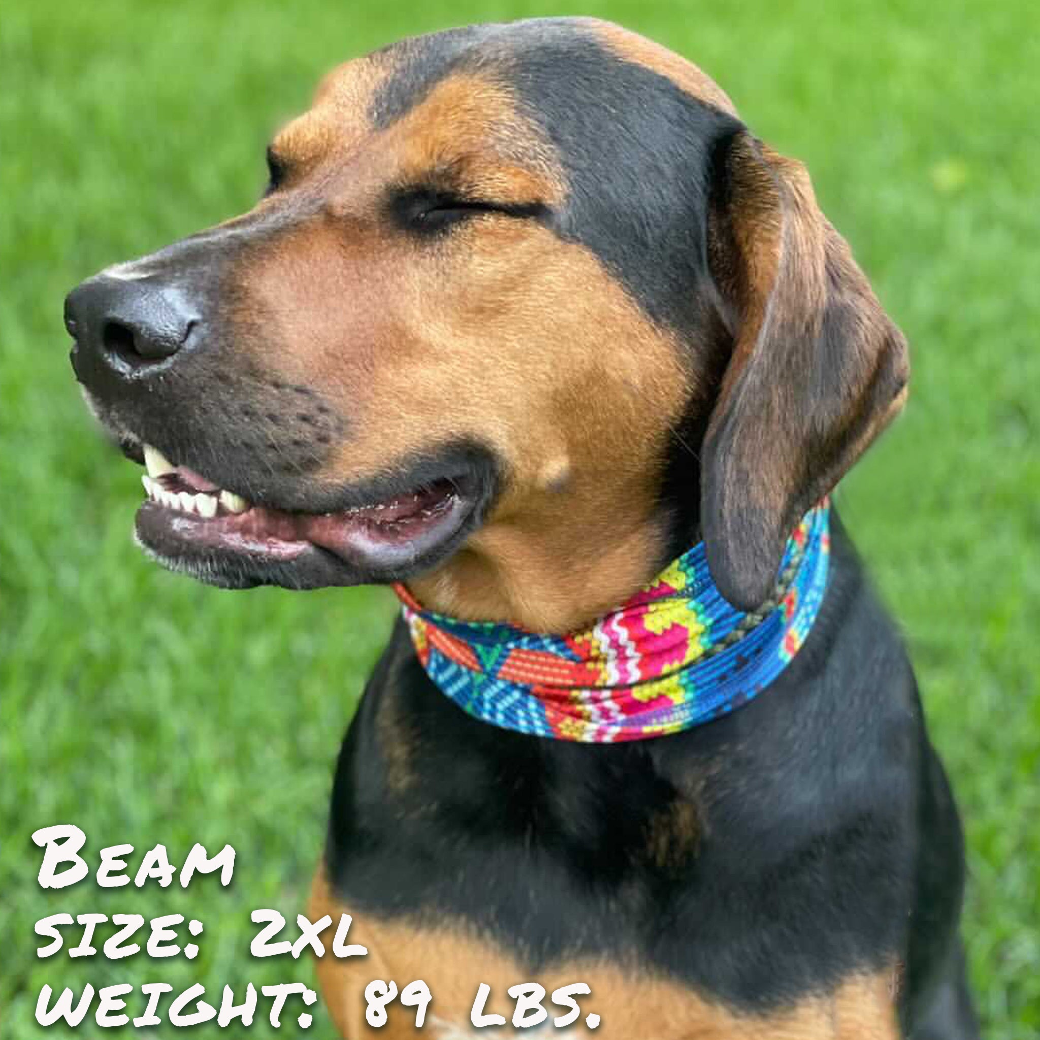 Pup Scruffs Bedouin Paws Komin dla psa — Ubranka dla psów — photo 4