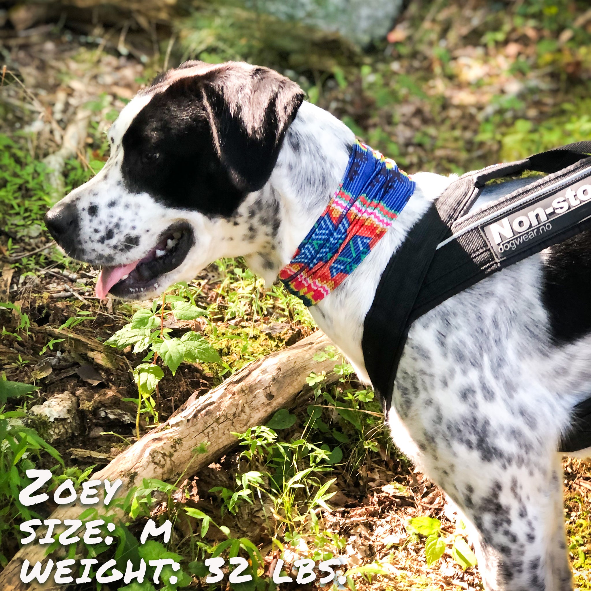 Pup Scruffs Bedouin Paws Komin dla psa — Ubranka dla psów — photo 2
