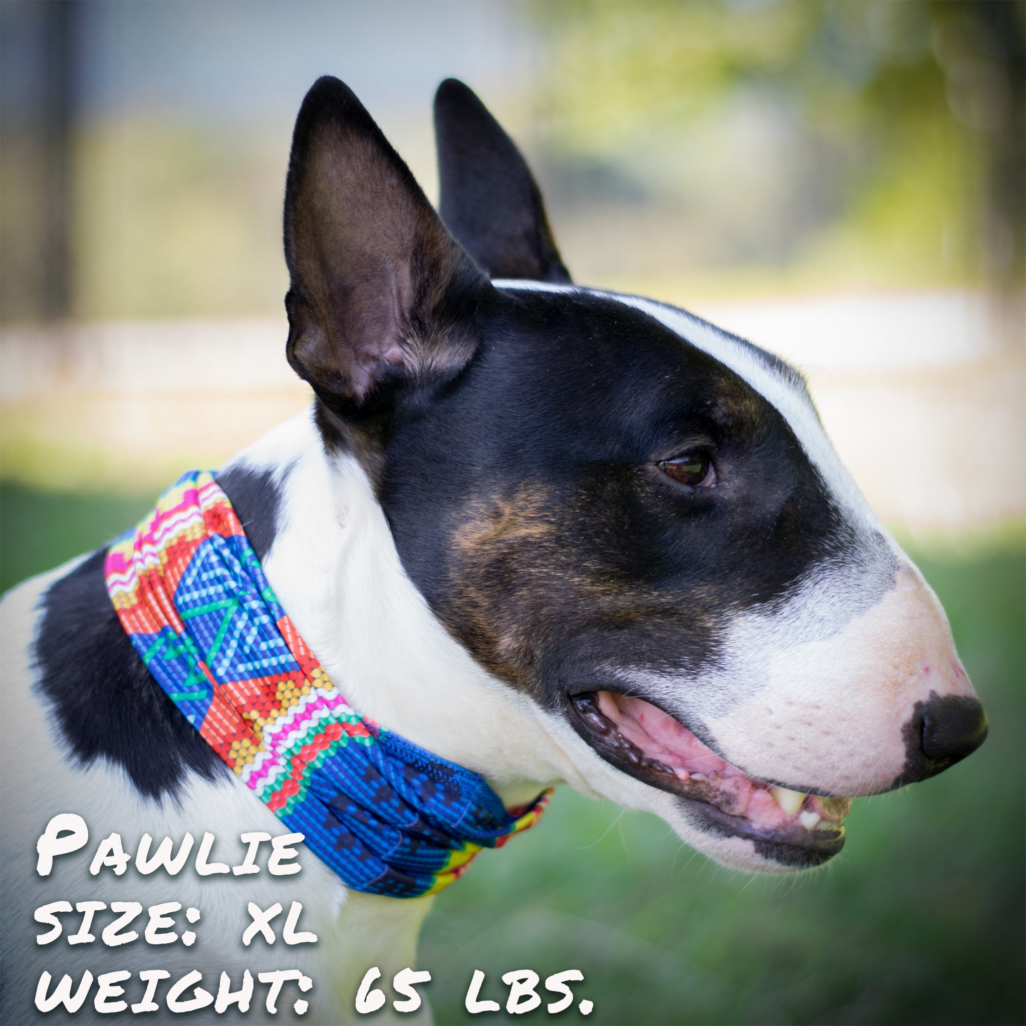 Pup Scruffs Bedouin Paws Komin dla psa — Ubranka dla psów — photo 5