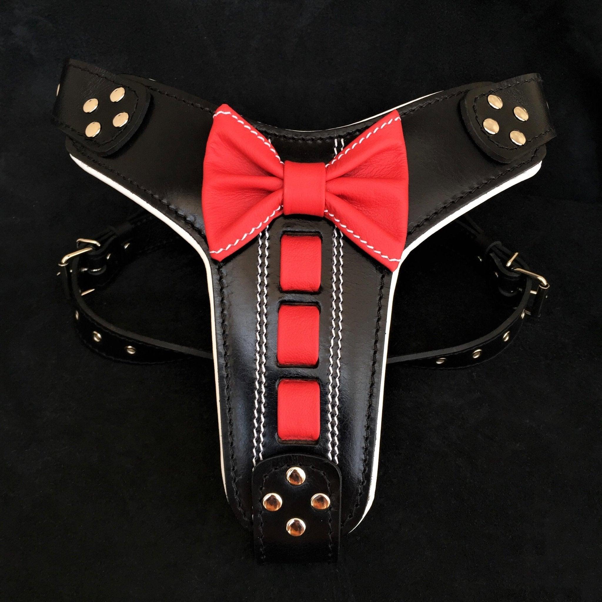 Szelki Bestia ''Bowtie'' skórzane — Obroże, smycze i szelki — photo 2