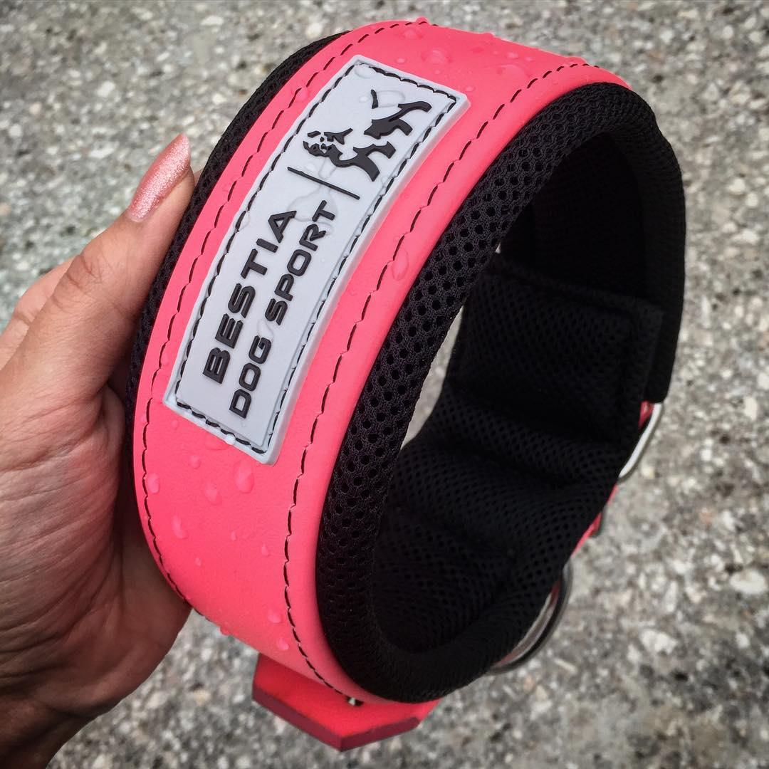 Collier Bestia dog sport rose néon — photo 4
