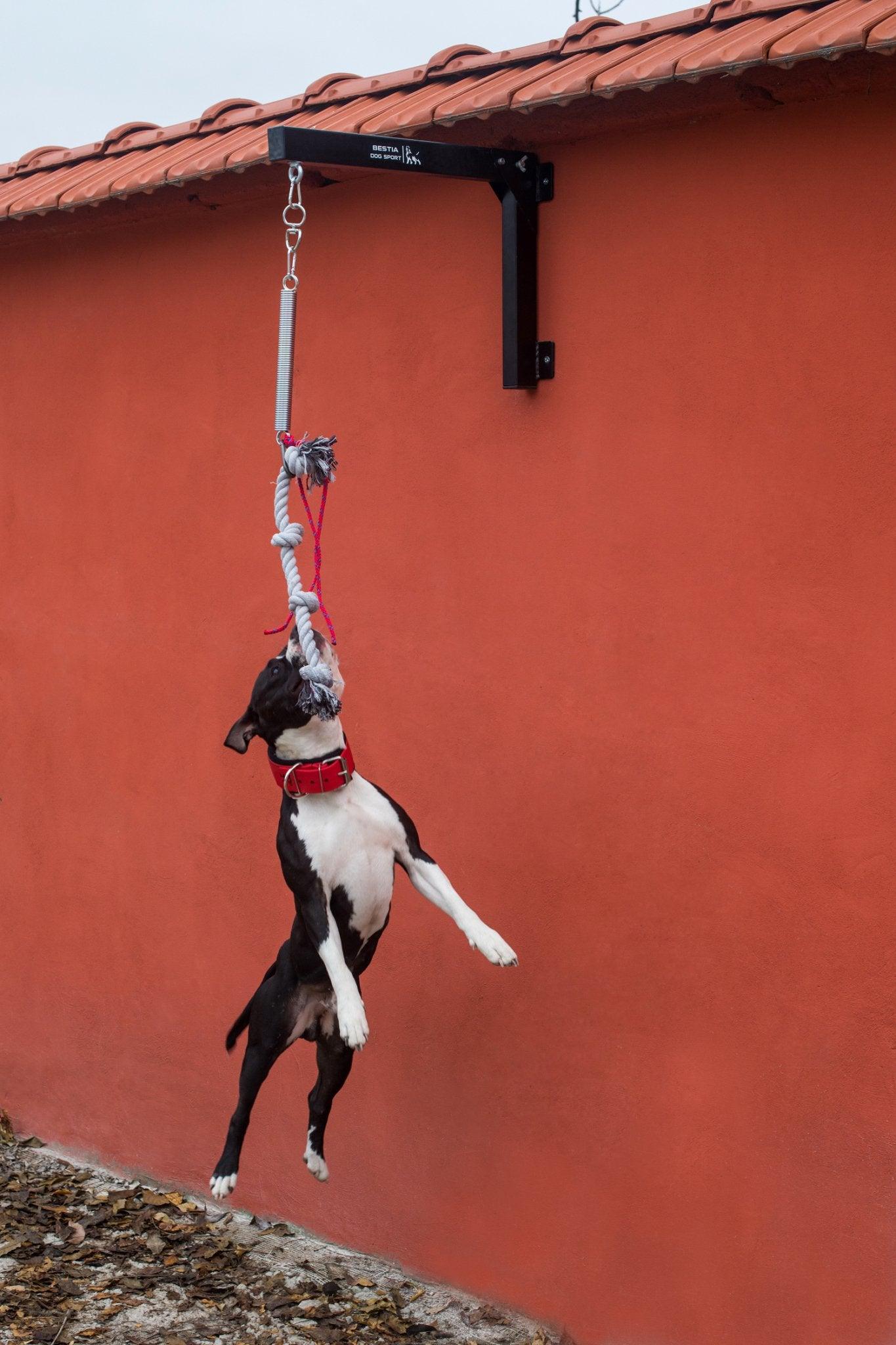 Bestia Dog Sport BESTIA Spring Pole — Jouets — photo 6