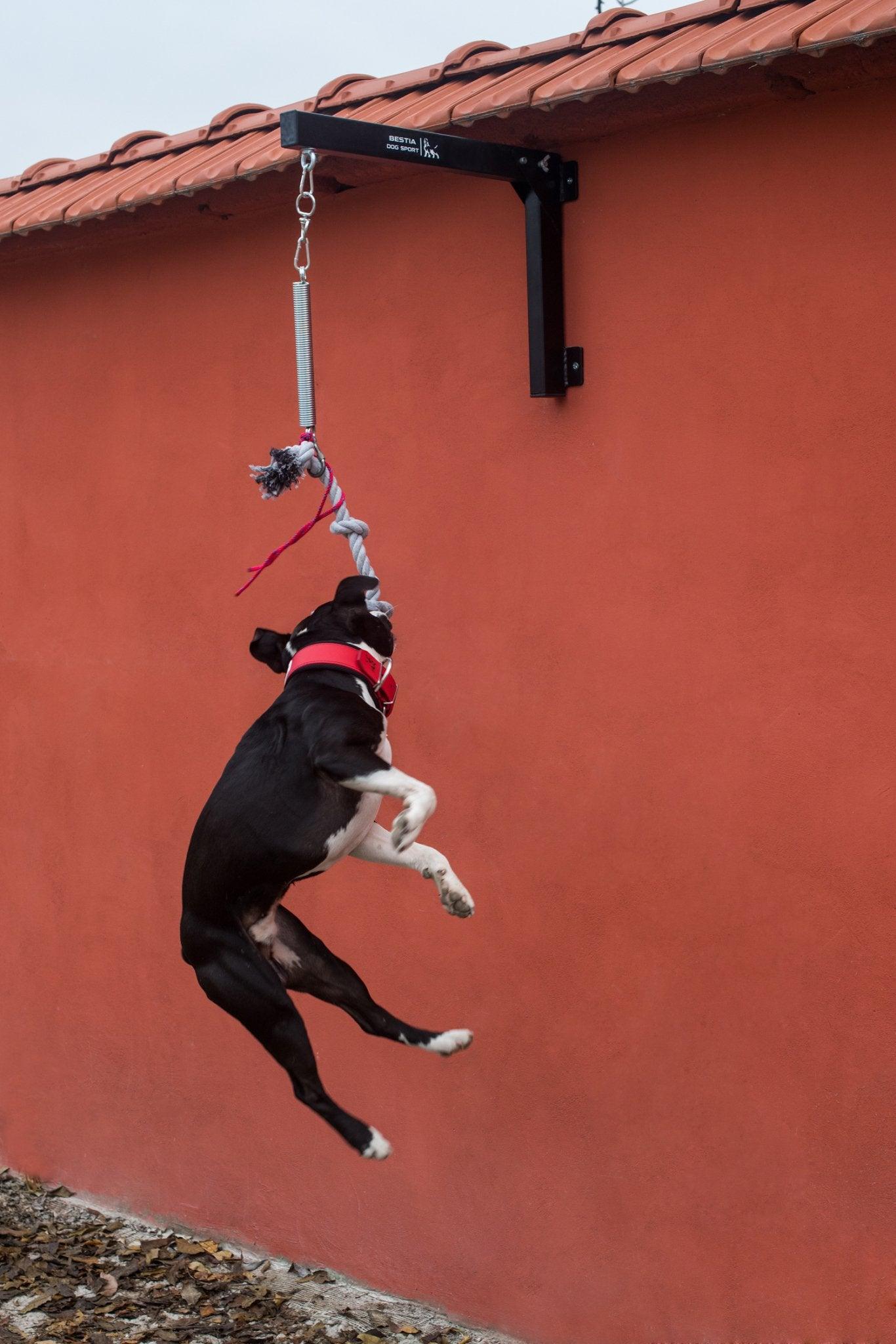 Bestia Dog Sport BESTIA Spring Pole — Jouets — photo 5