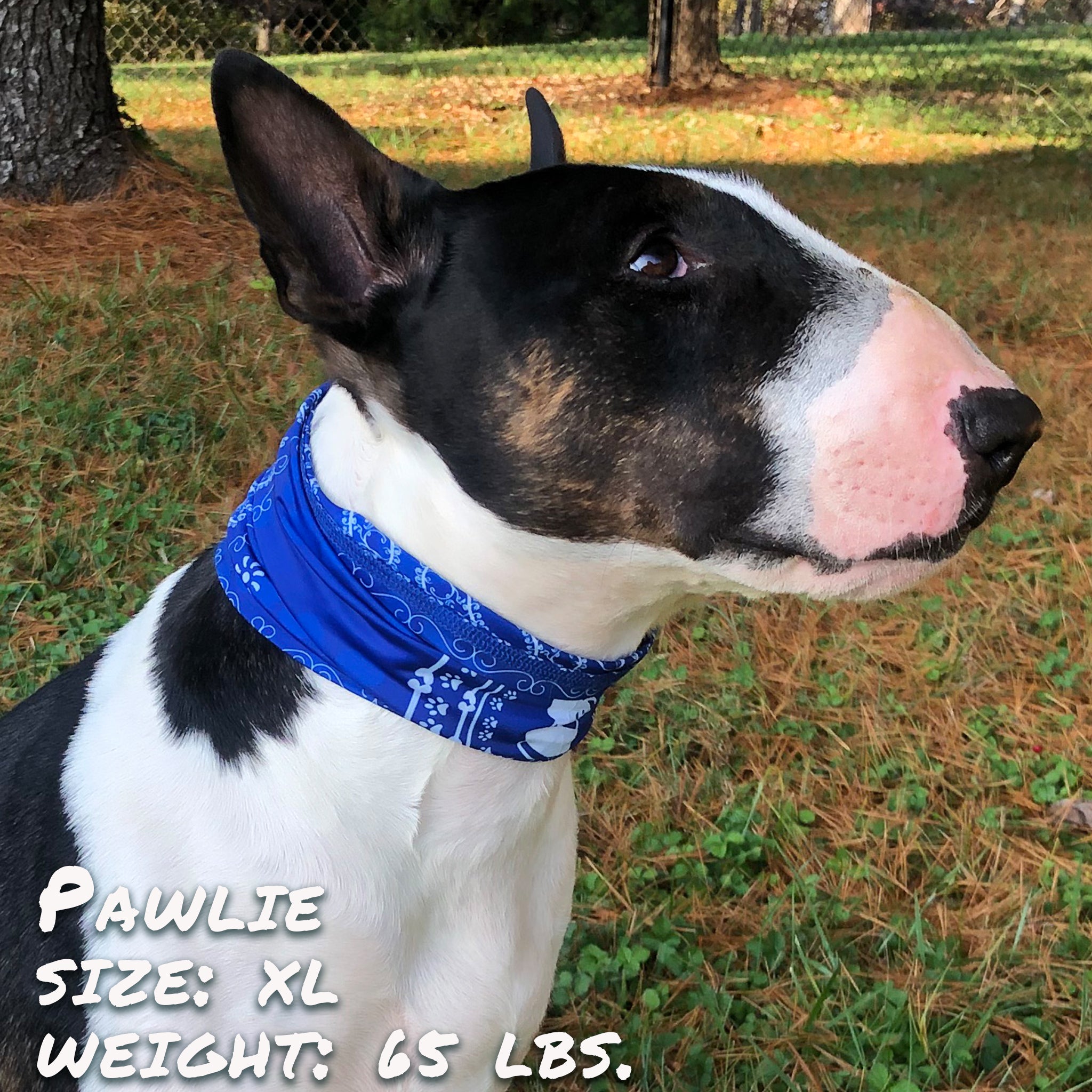 Pup Scruffs Niebieski Bandana Komin dla psa — Ubranka dla psów — photo 5