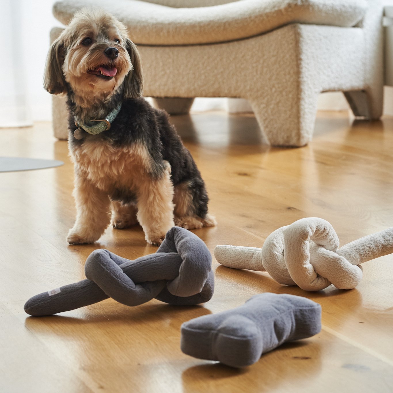 Lilly+Dash zabawki w kształcie kości — photo 4