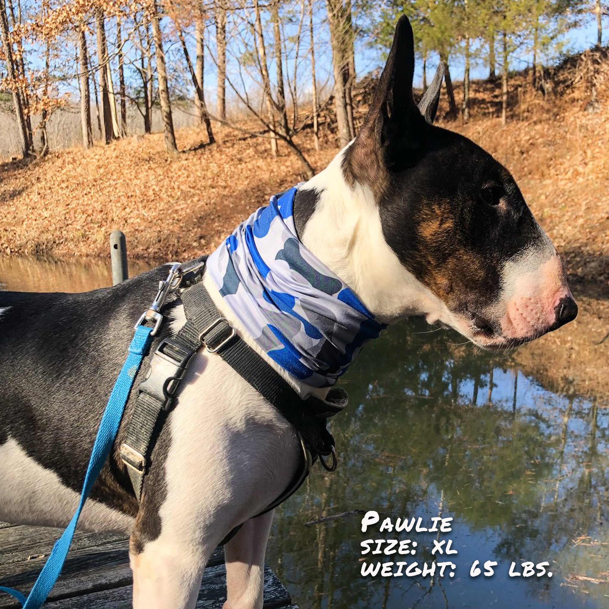 Pup Scruffs Bone Camo Blue Komin dla psa — Ubranka dla psów — photo 2
