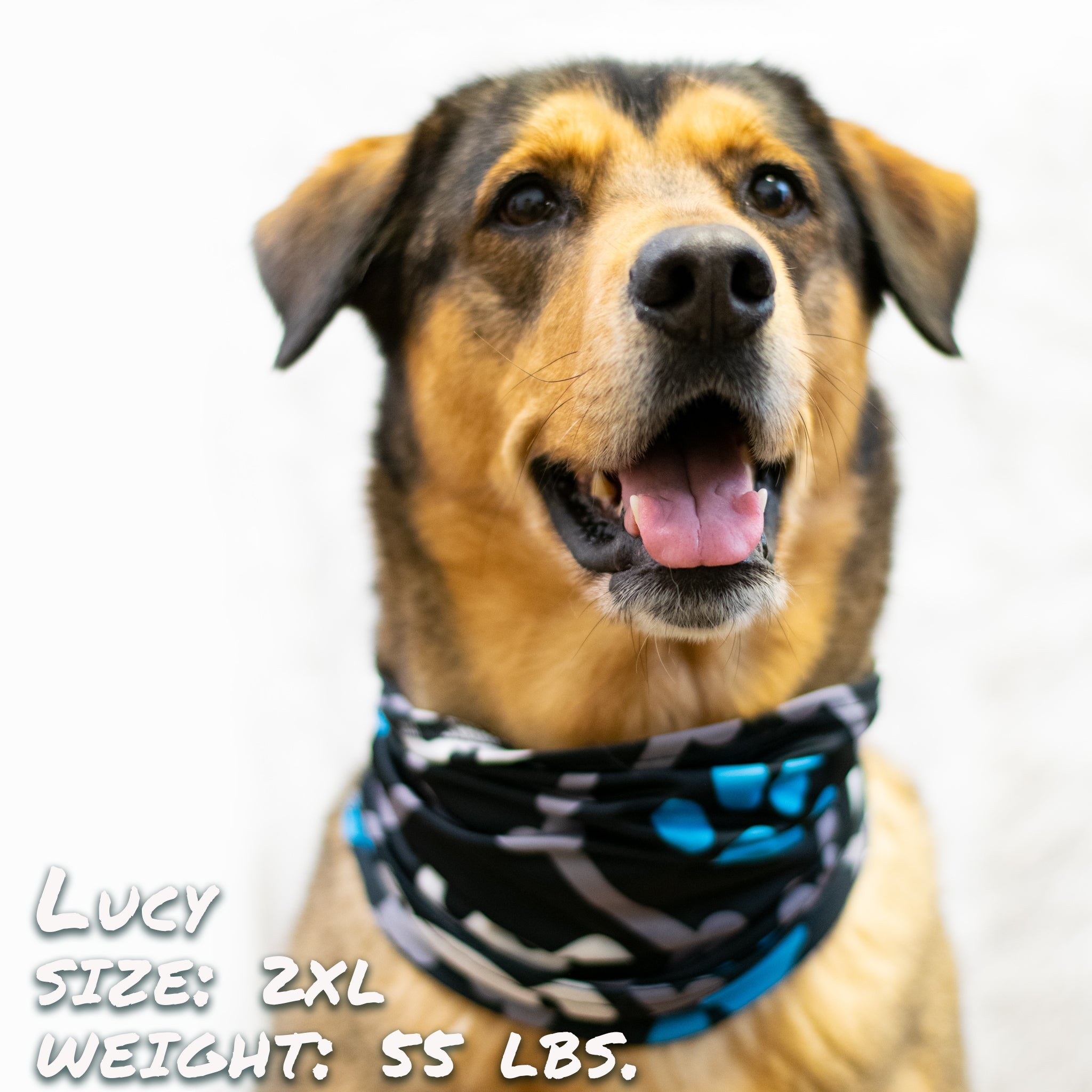 Pup Scruffs Bone Dogger Pup Scruff — Vêtements pour chiens — photo 2