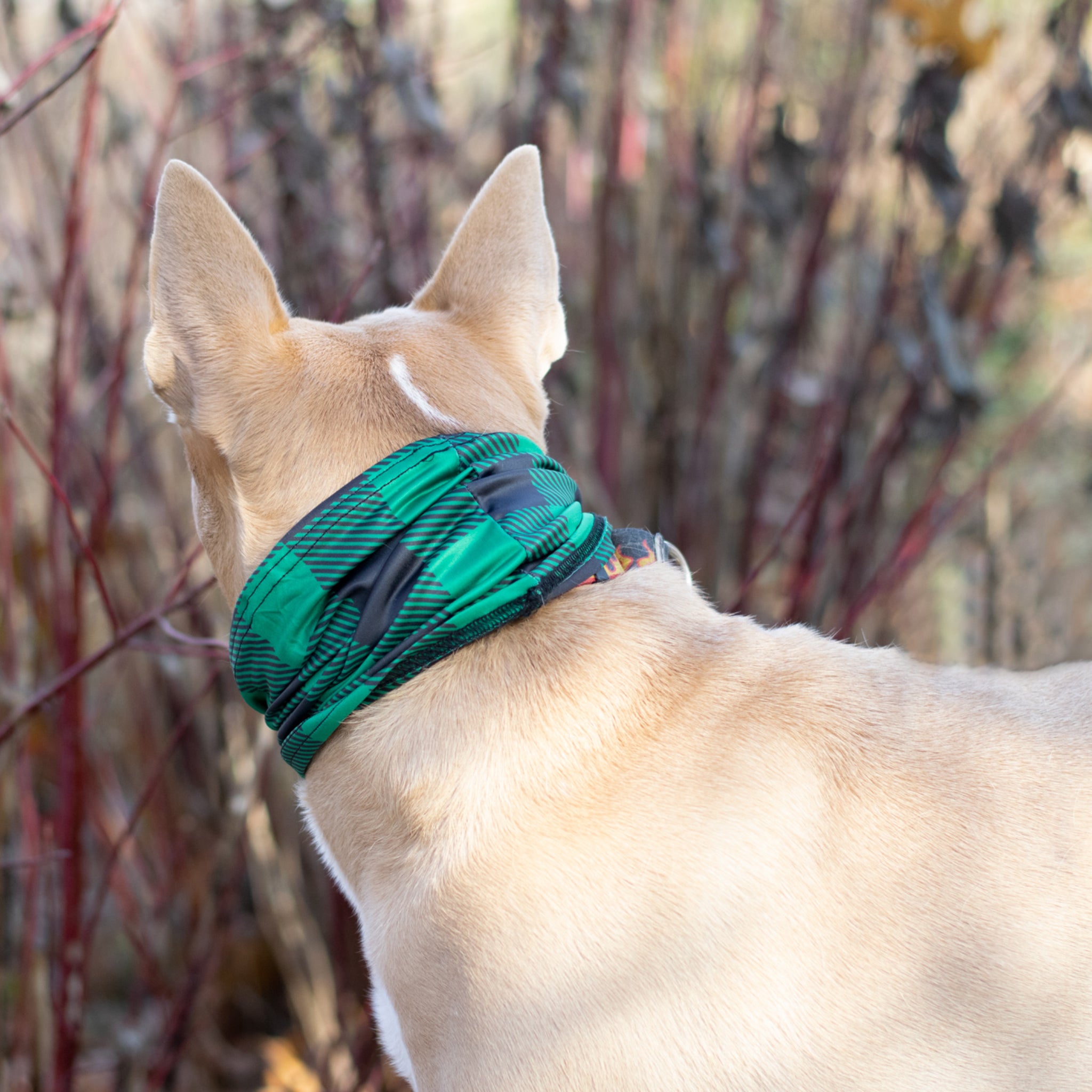 Pup Scruffs Tour de cou pour chien Buffalo Plaid Green — Vêtements pour chiens — photo 6