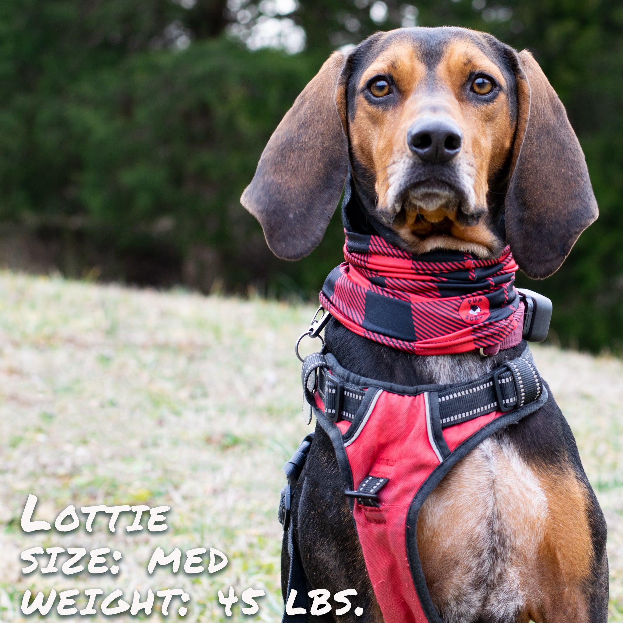 Pup Scruffs Komin dla psa Buffalo Plaid — Ubranka dla psów — photo 4