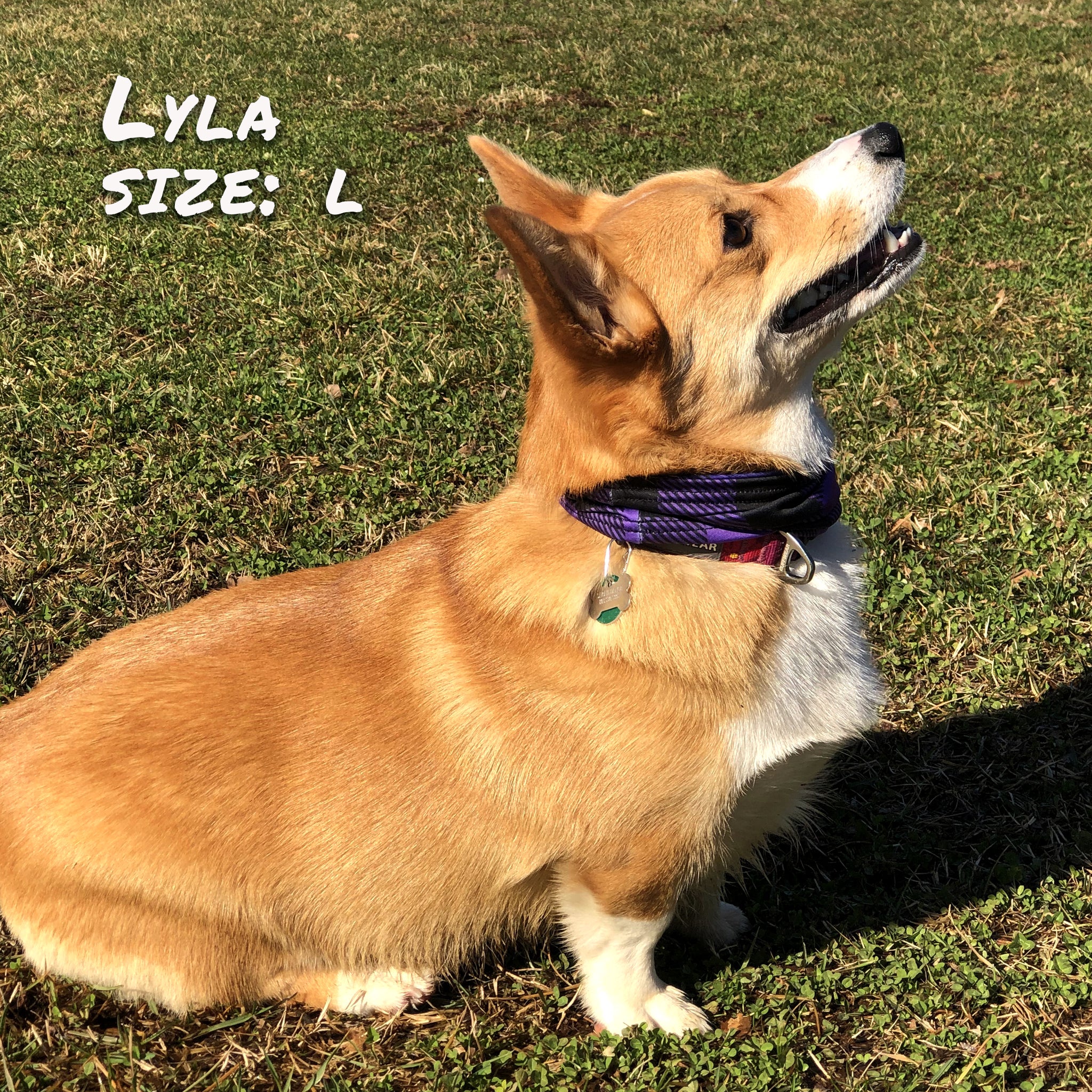 Pup Scruffs Tour de cou pour chien Buffalo Plaid Purple — Vêtements pour chiens — photo 4