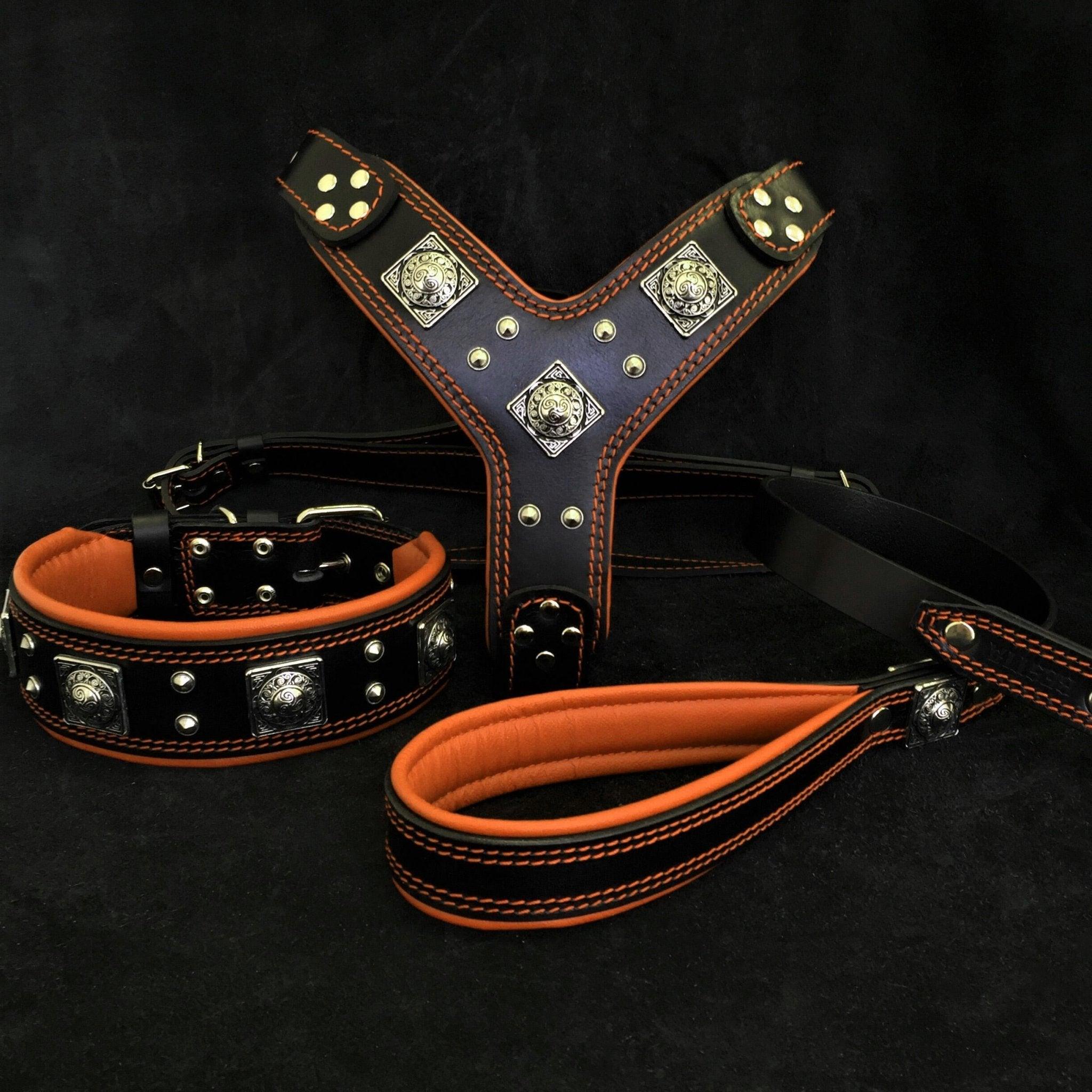 Bestia "EROS" BIG dog SET- Harnais - collier - laisse. Noir & Orange — photo 2