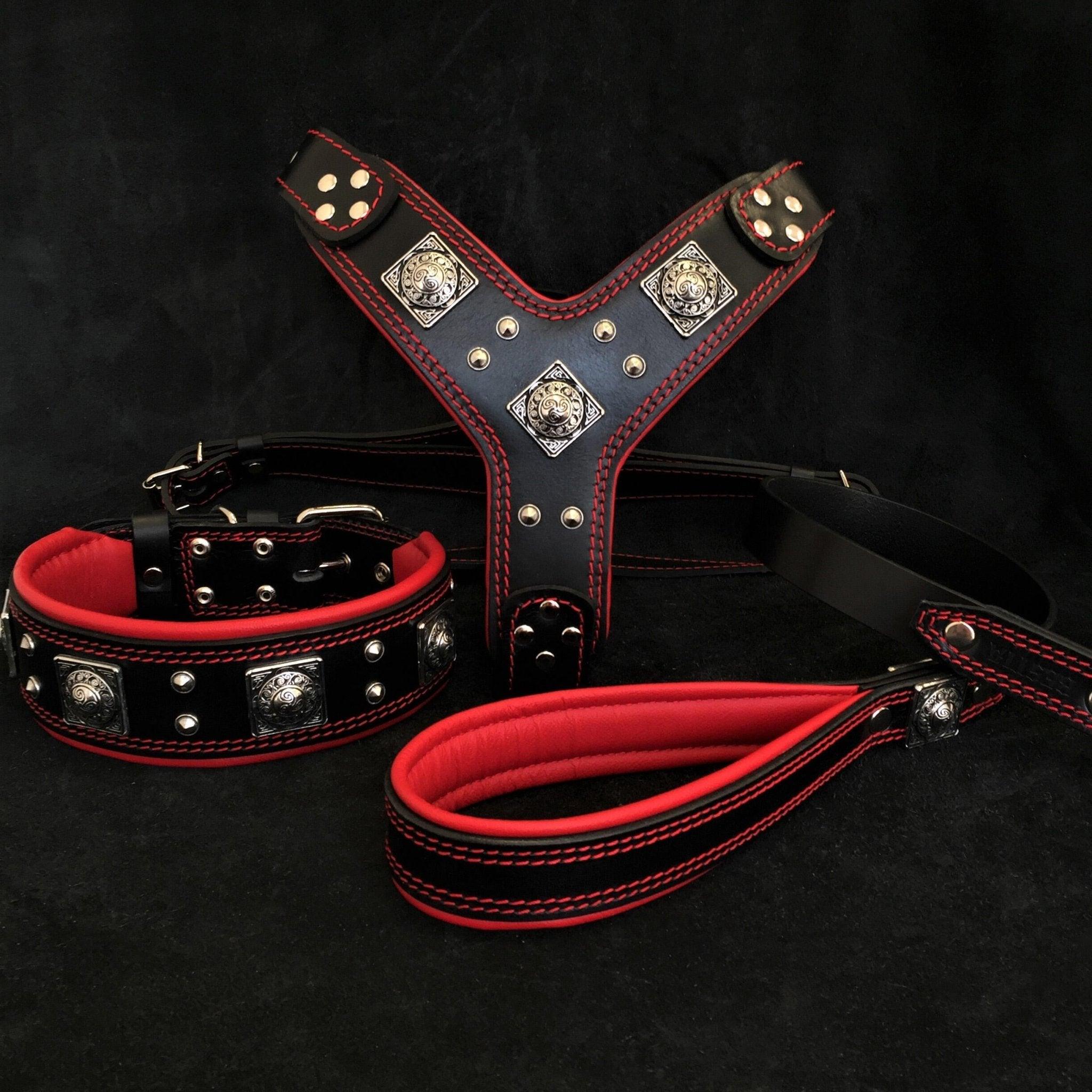 Bestia "EROS" BIG dog SET- Harnais - collier - laisse. Noir & Rouge — photo 2