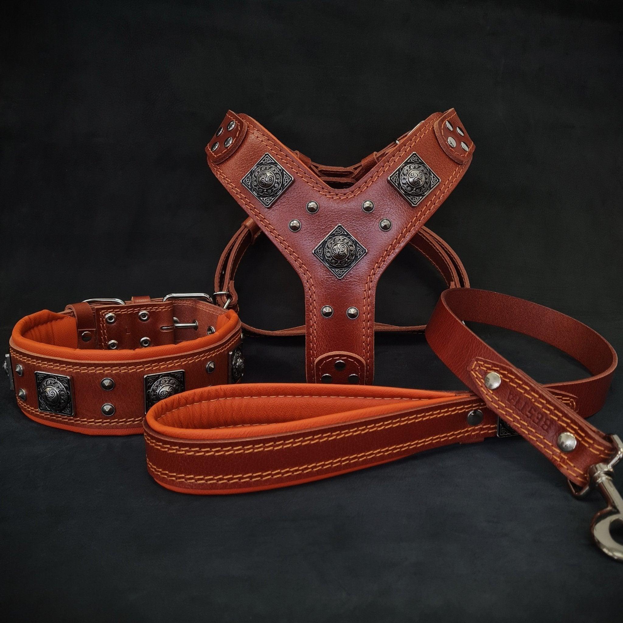 Bestia "EROS" BIG dog SET- Harnais - collier - laisse. Marron & Orange — photo 2