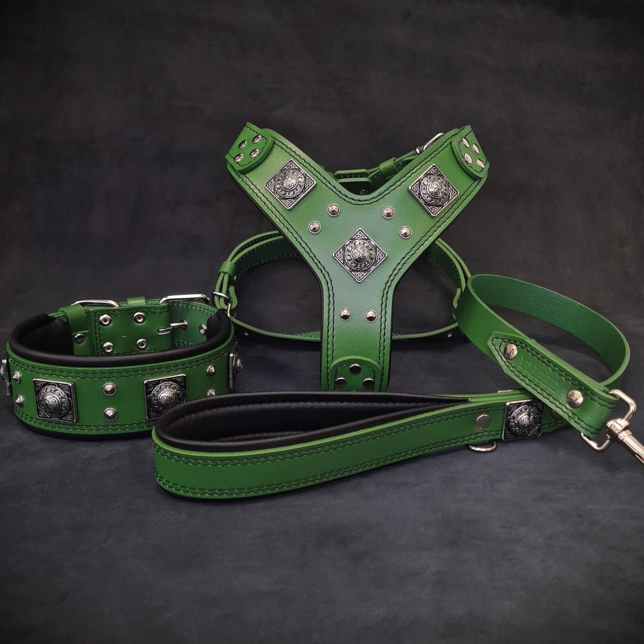 Bestia "EROS" BIG dog SET- Harnais - collier - laisse. Vert — photo 2
