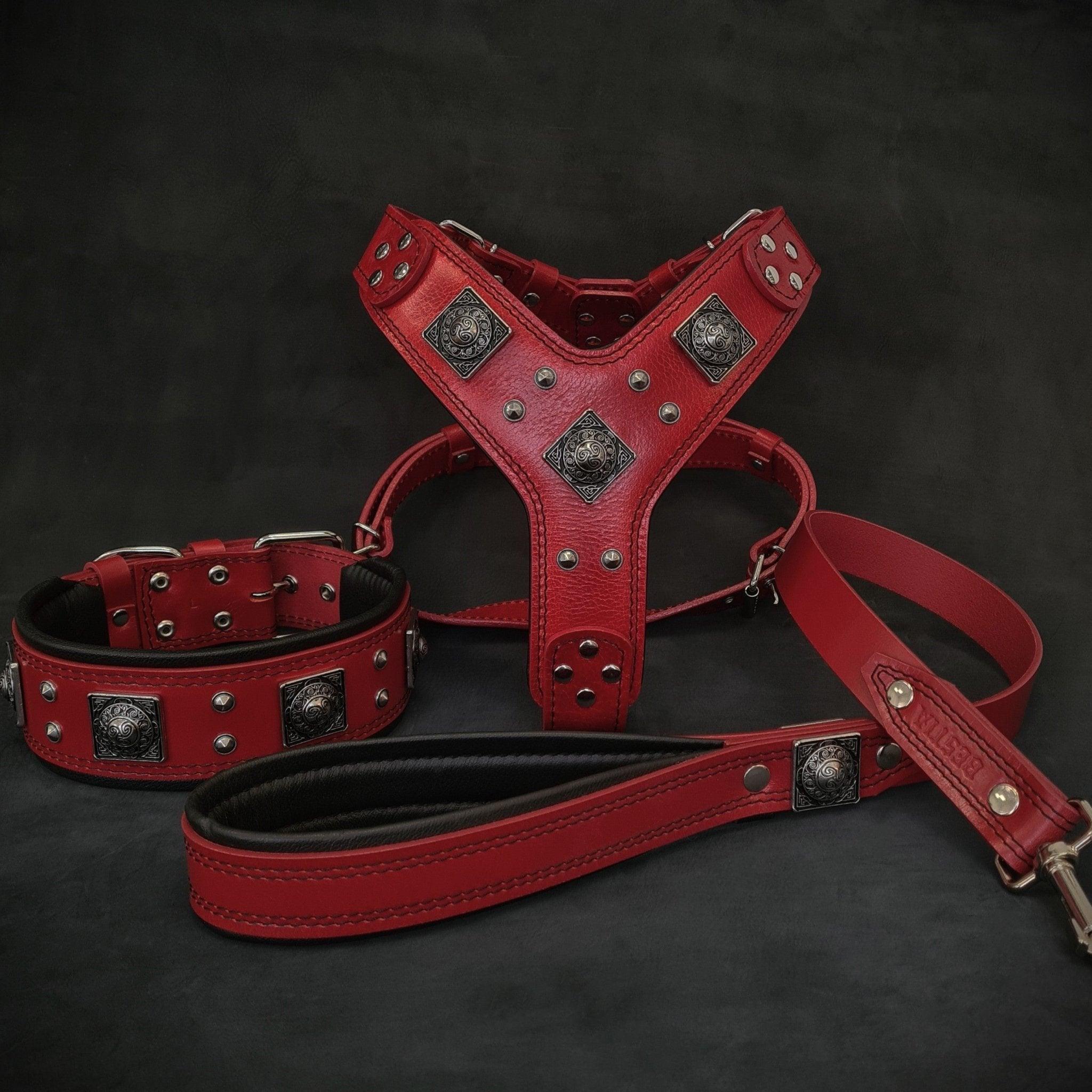 Bestia "EROS" BIG dog SET- Harnais - collier - laisse. Rouge — photo 2