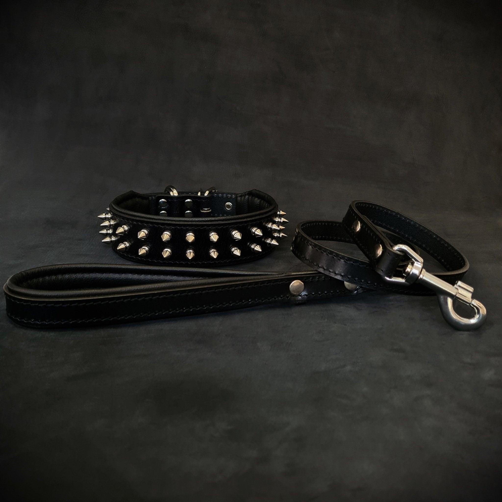 Bestia "Frenchie" Set- collar & leash. Black
