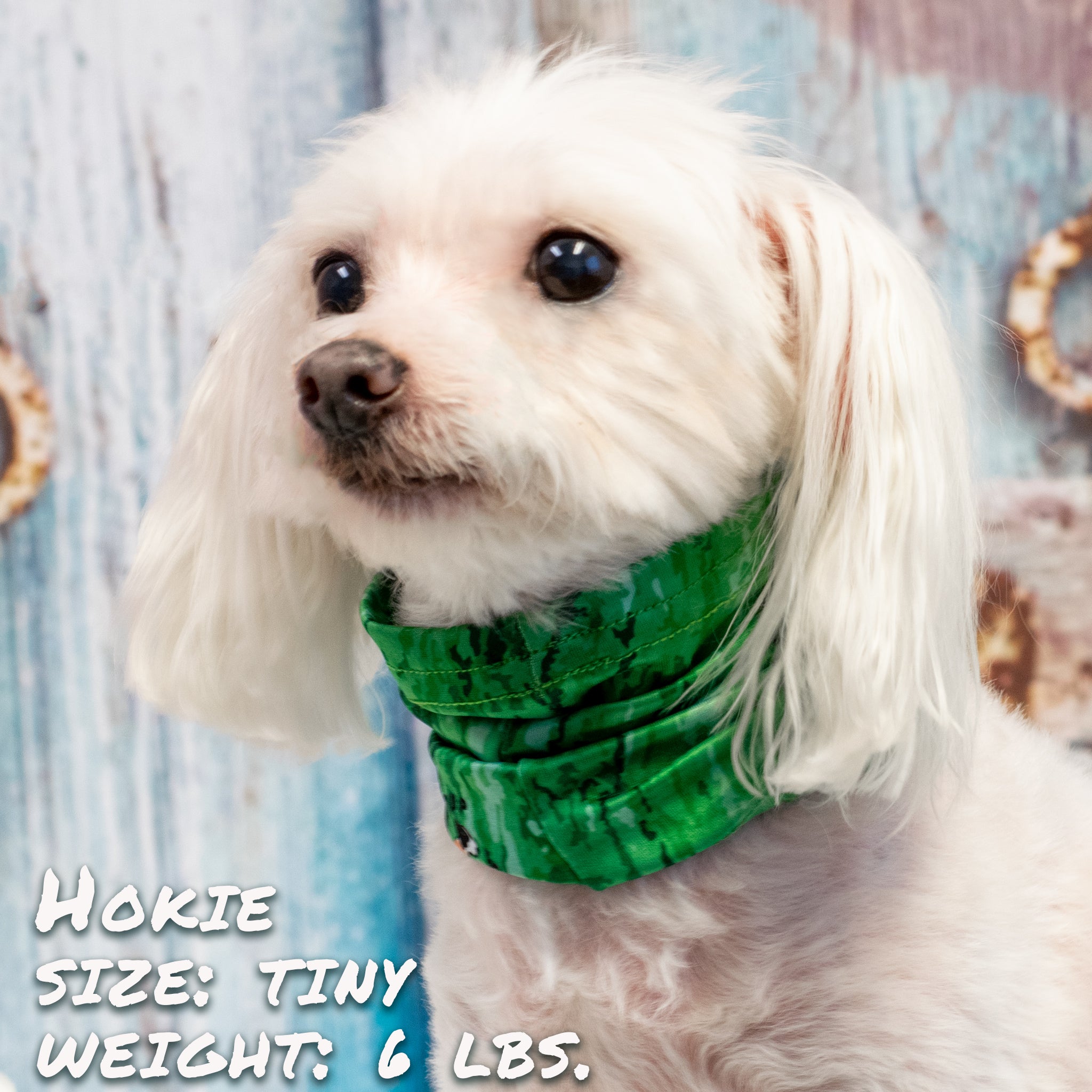 Pup Scruffs Green Bark tour de cou pour chien — Vêtements pour chiens — photo 4