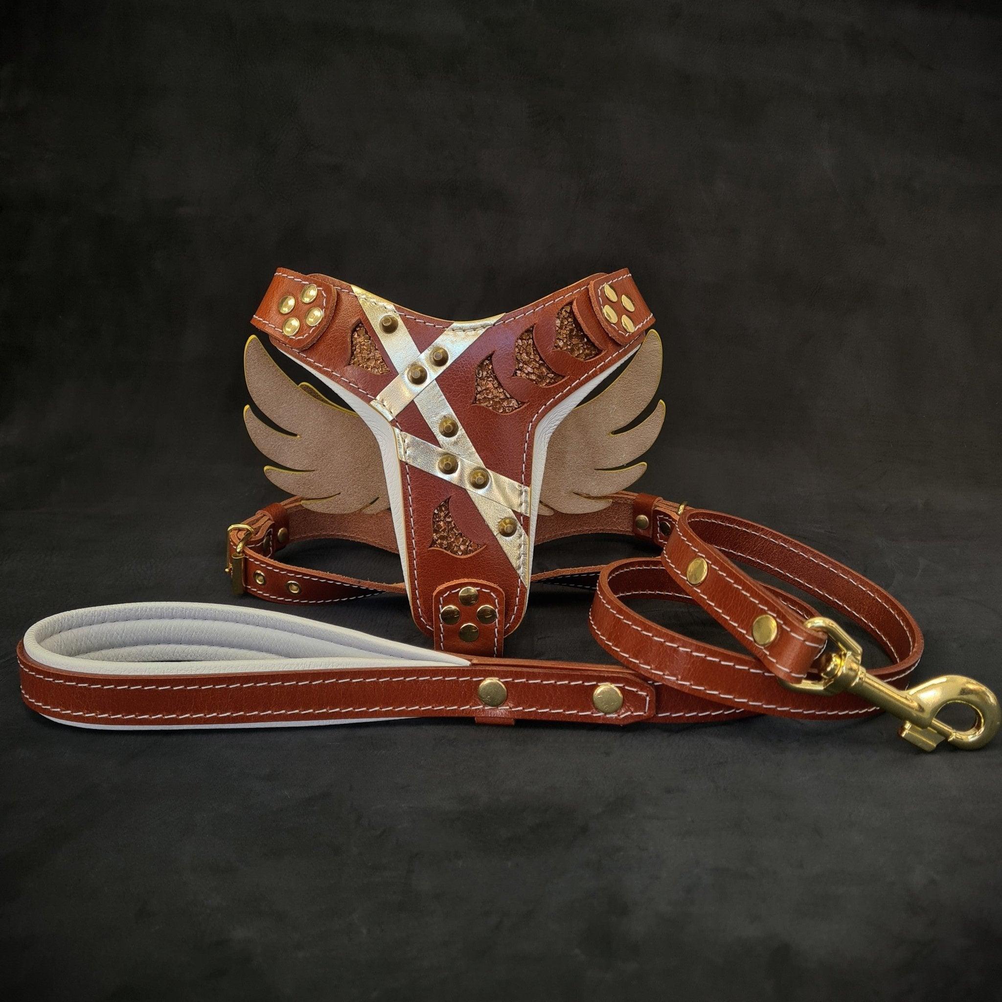 Bestia "Hermes" Set- harnais & laisse — Colliers, laisses et harnais — photo 2