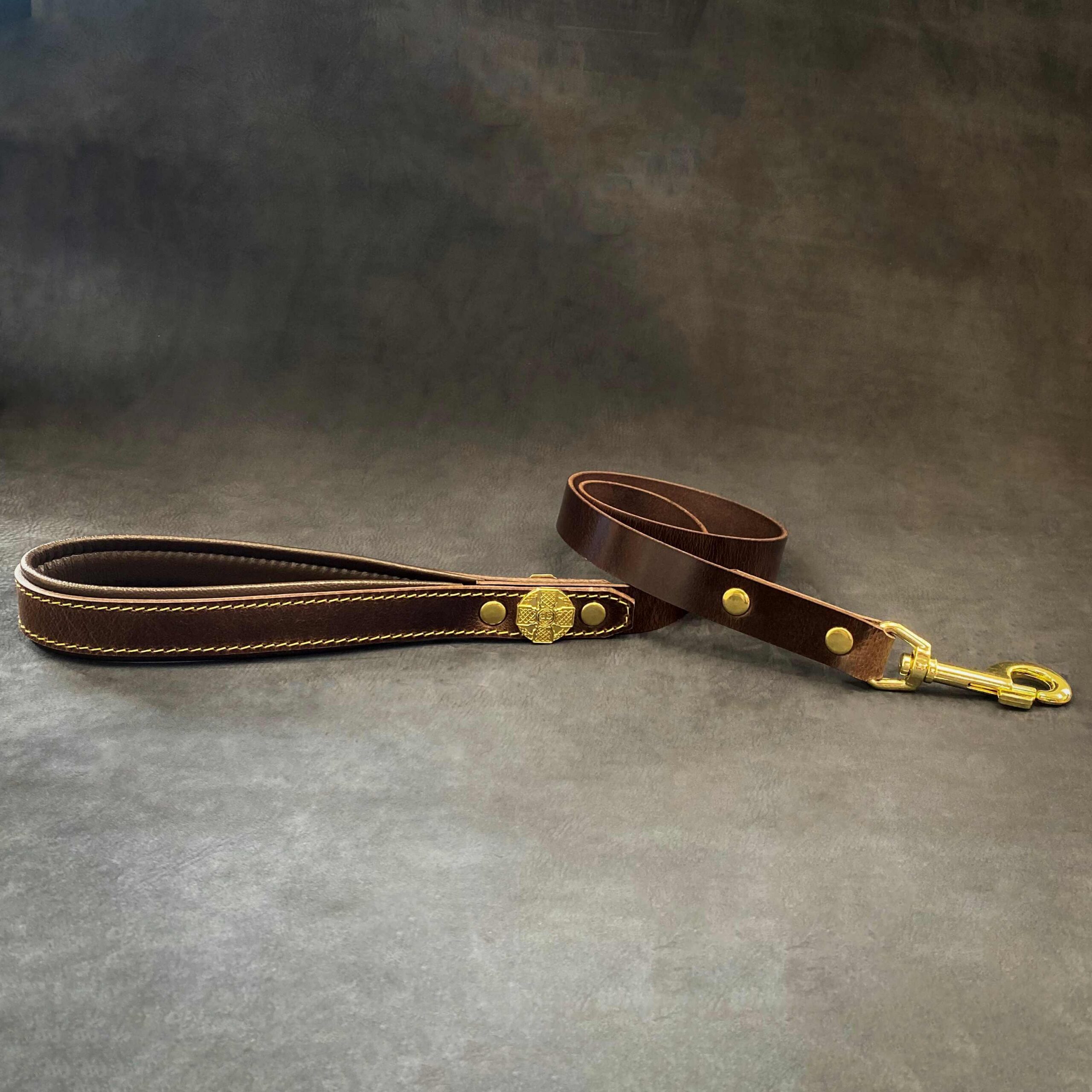 Bestia Collars Laisse Maximus Gold 1 pouce de large — Colliers, laisses et harnais — photo 2